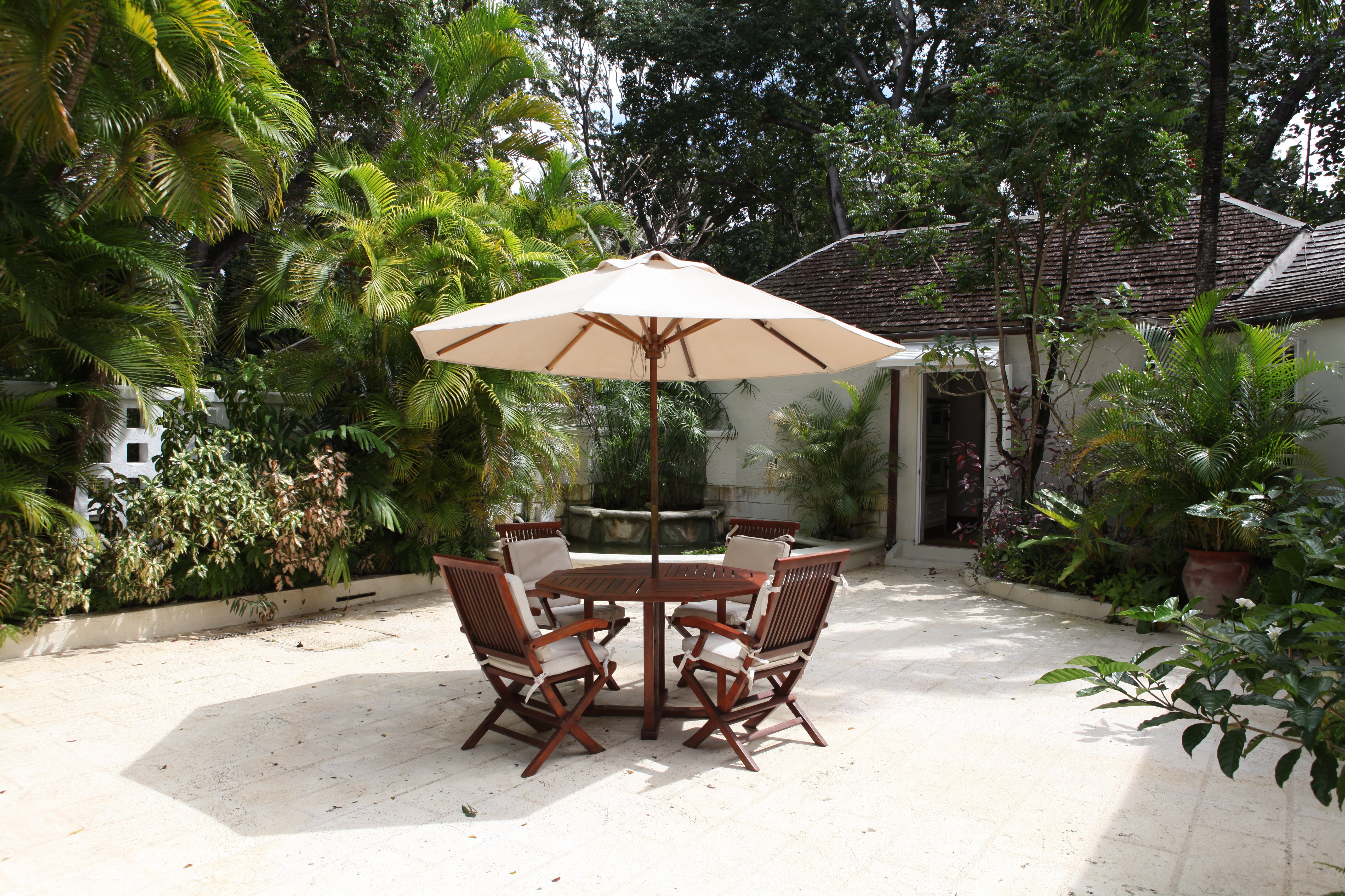 Heronetta - Image 17