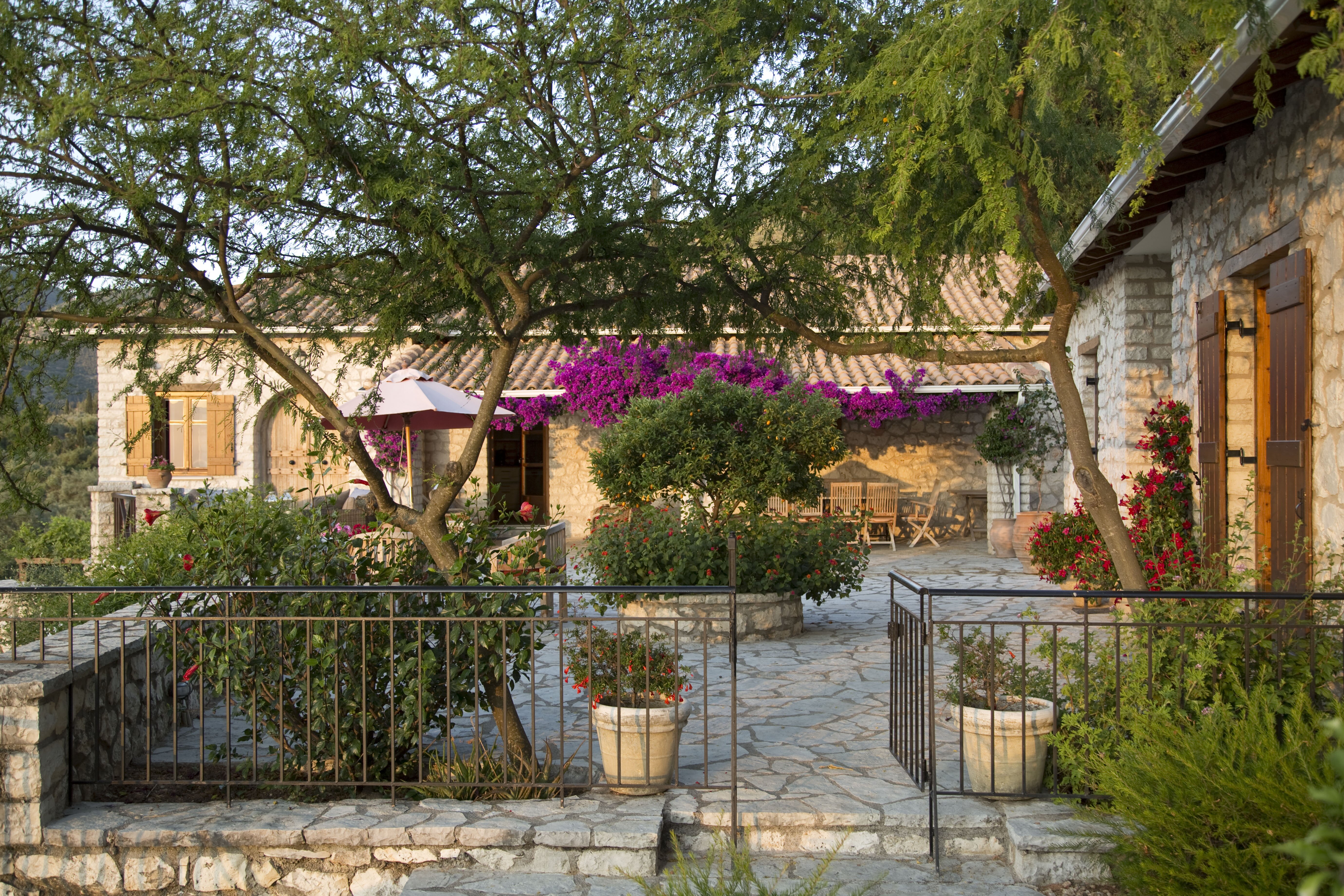 To Petrino - Image 5