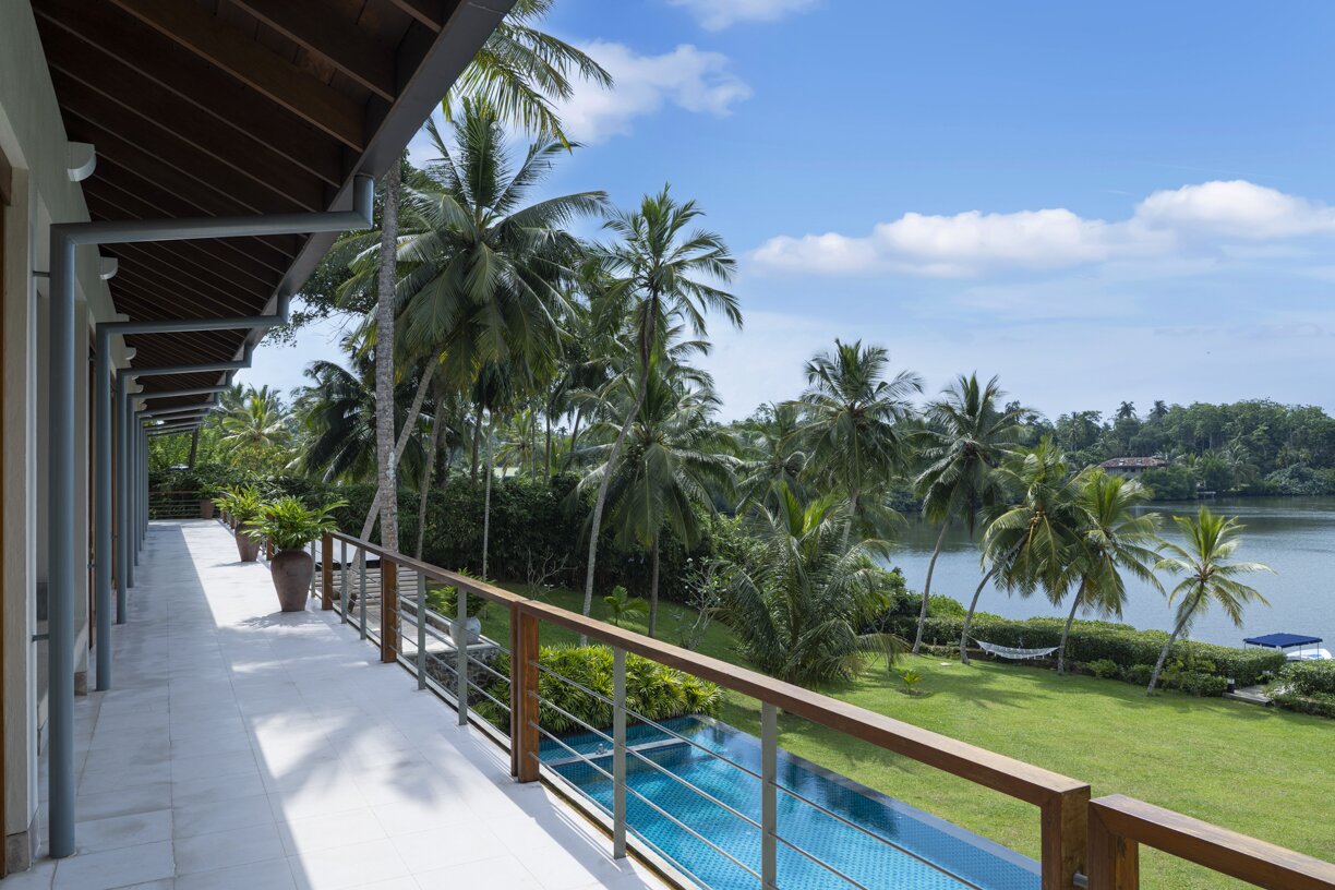 Frangipani - Image 7