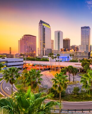 White Orchid - Image 20