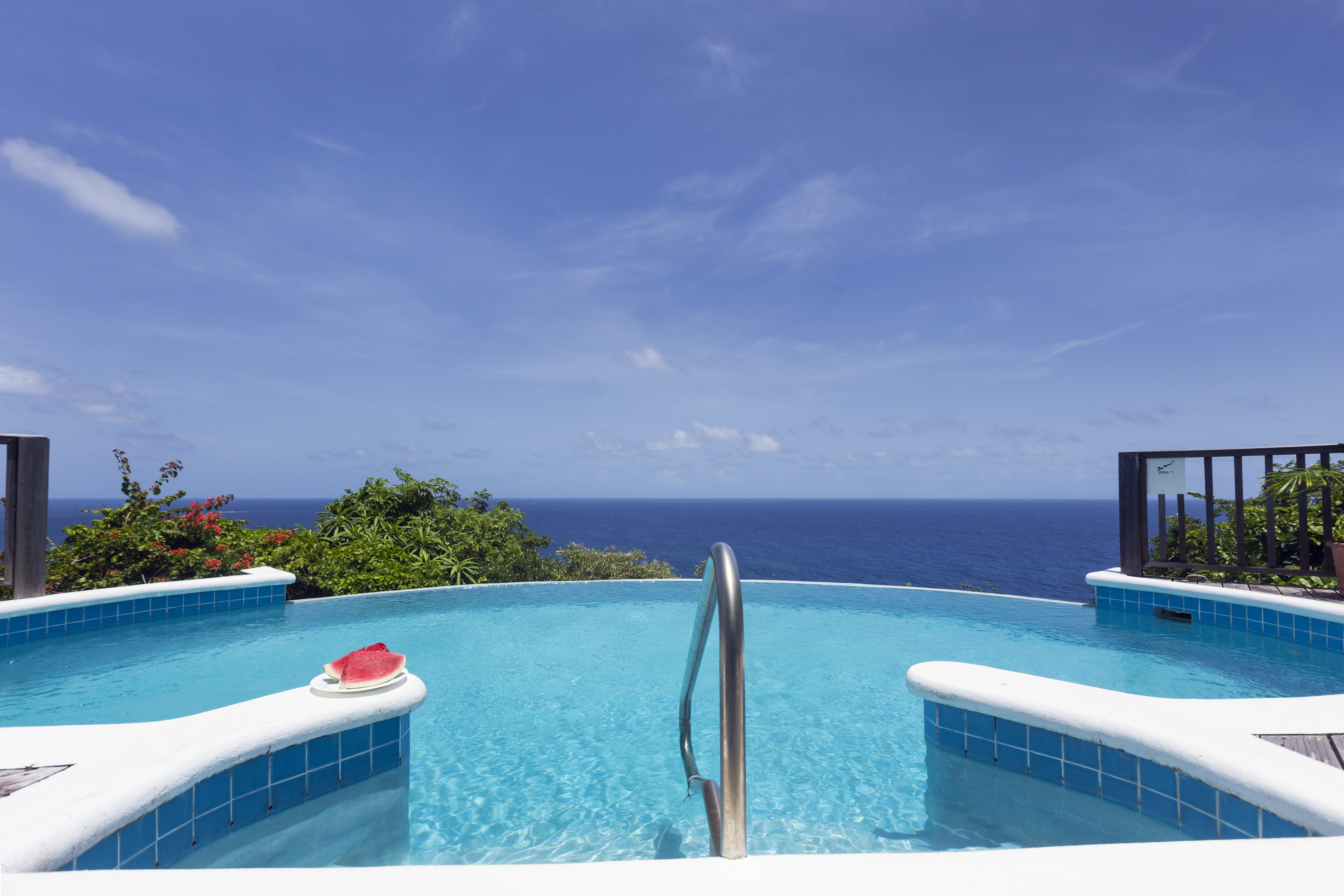 Lemon Tree - Image 13