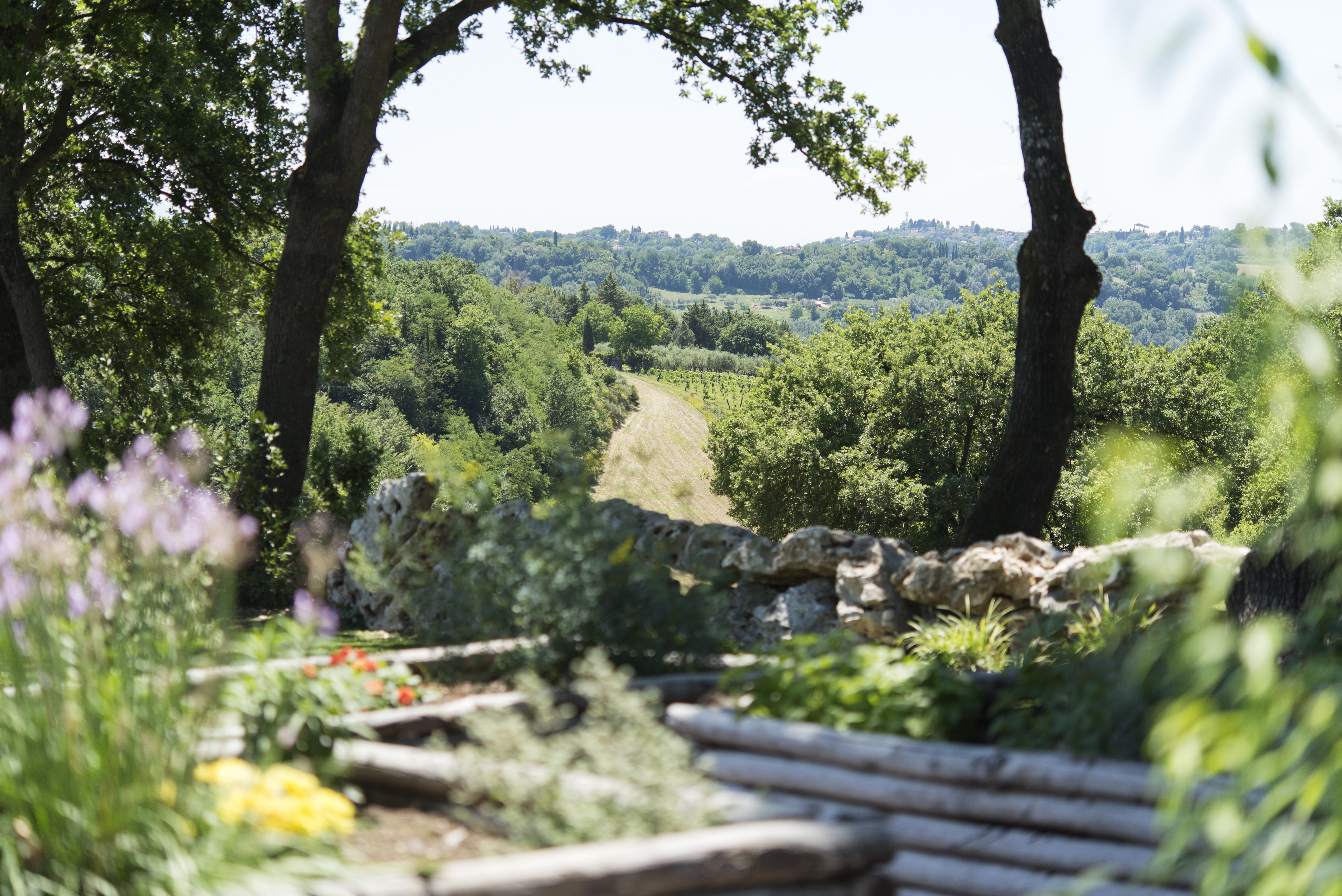 La Sabinetta - Image 13