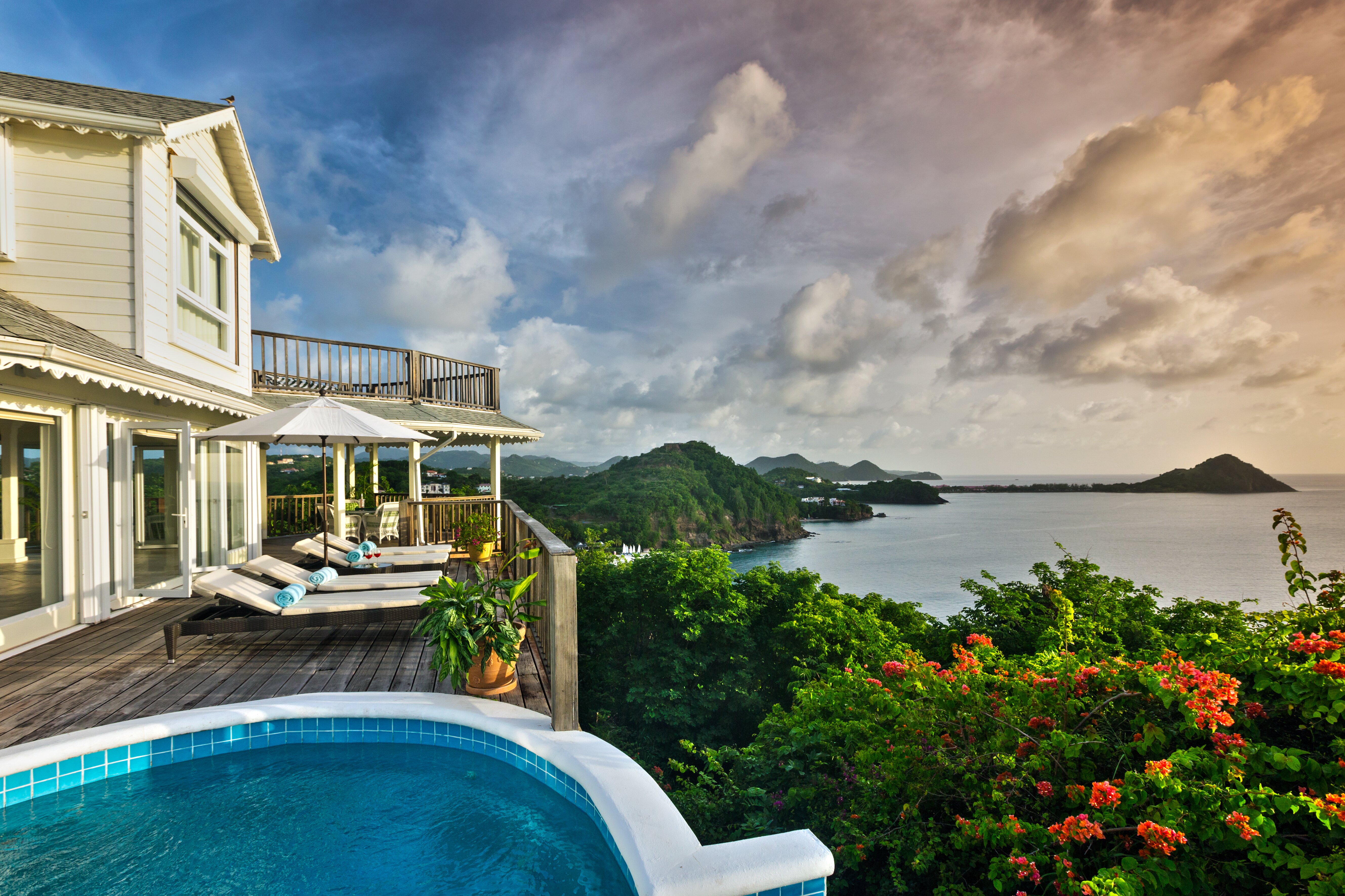 Lemon Tree - Image 14