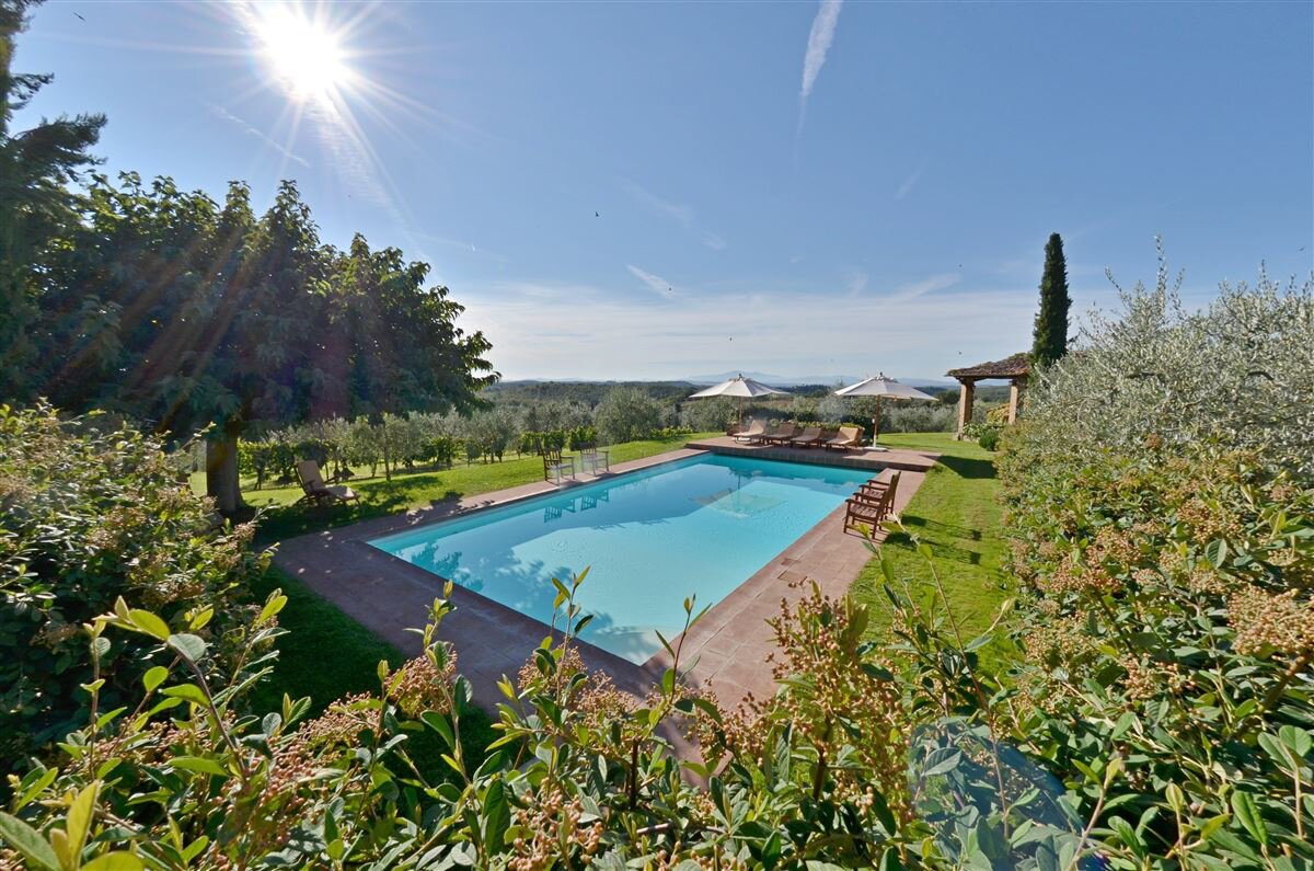 Sole di Sesta - Image 3