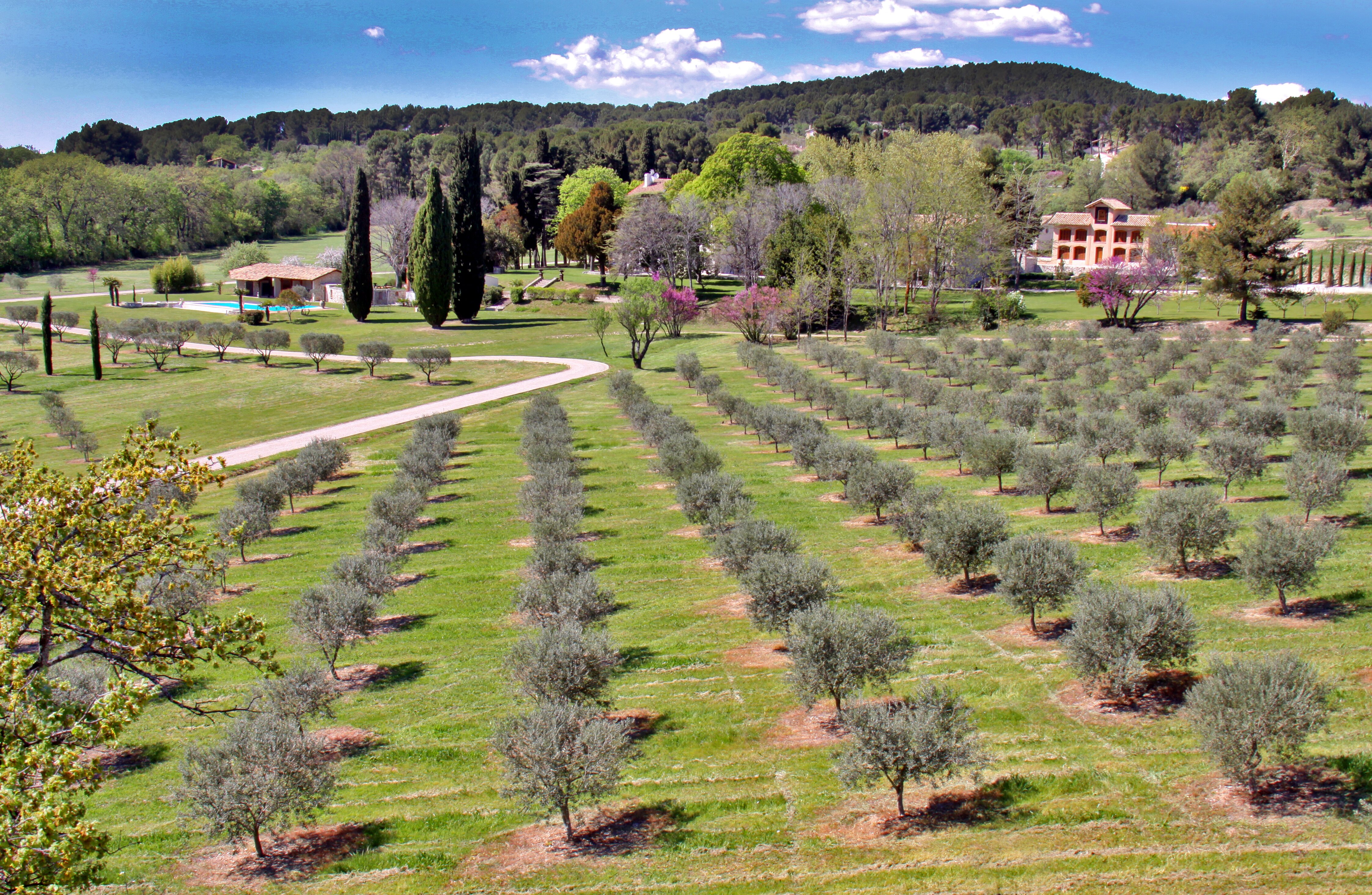 Bastide de la Victoire - Image 6