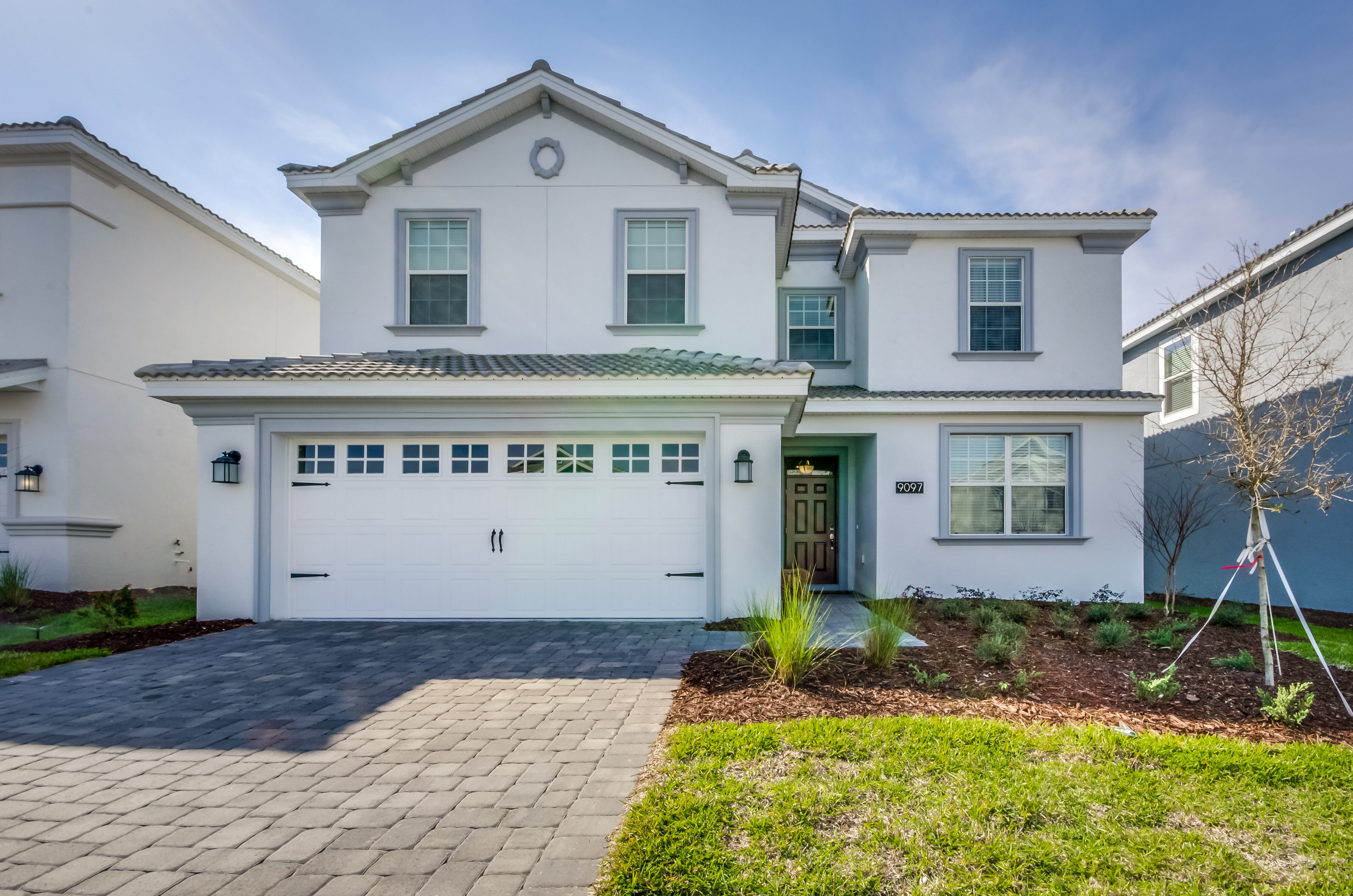 Black Orchid - Image 3