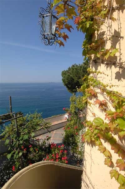 Piccola Rosa - Image 7