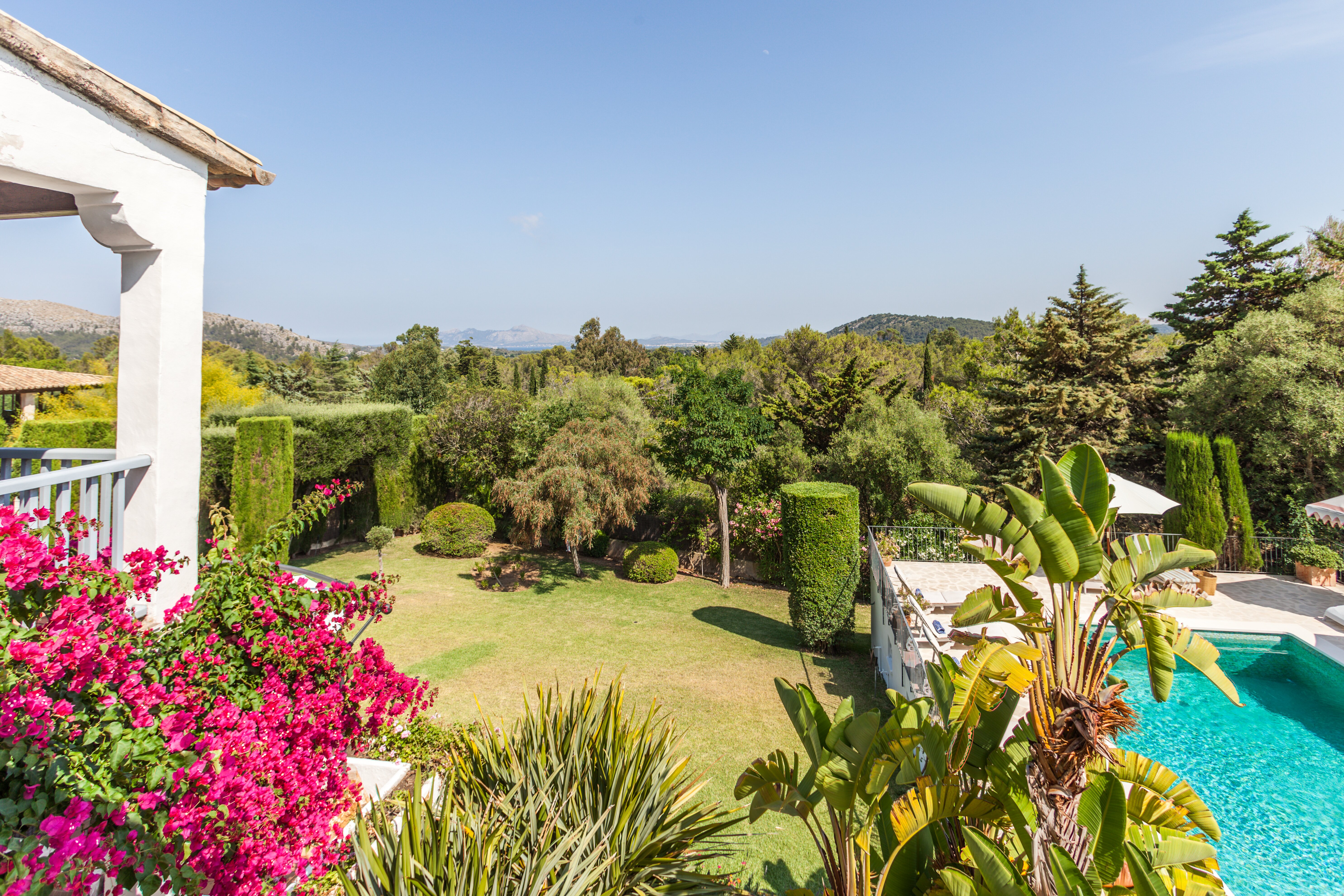 Las Peonias - Image 9