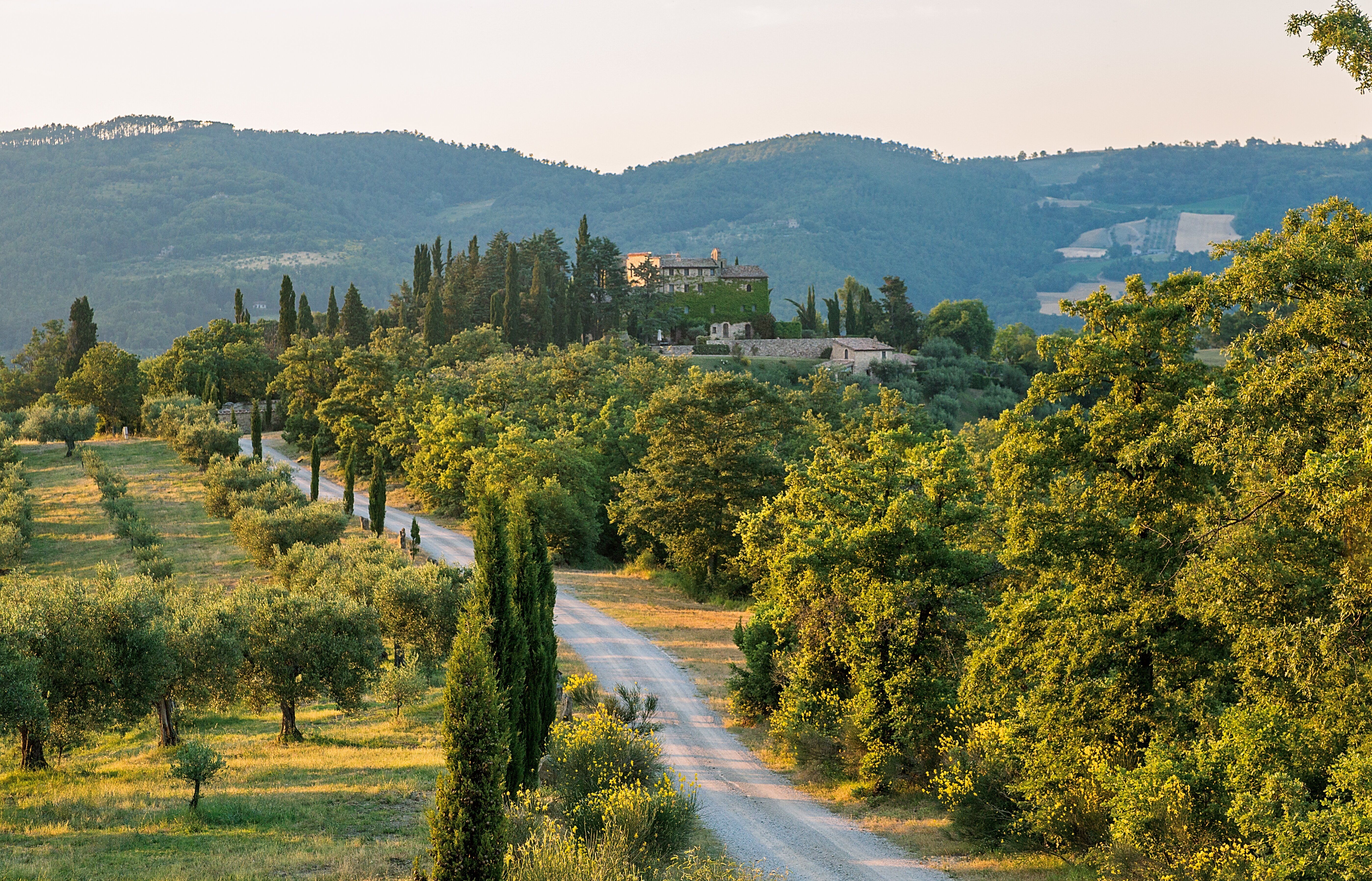 Borgo Bastia Creti - Image 16