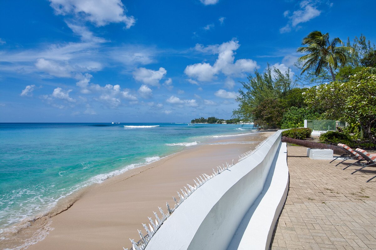 High Trees - Image 9