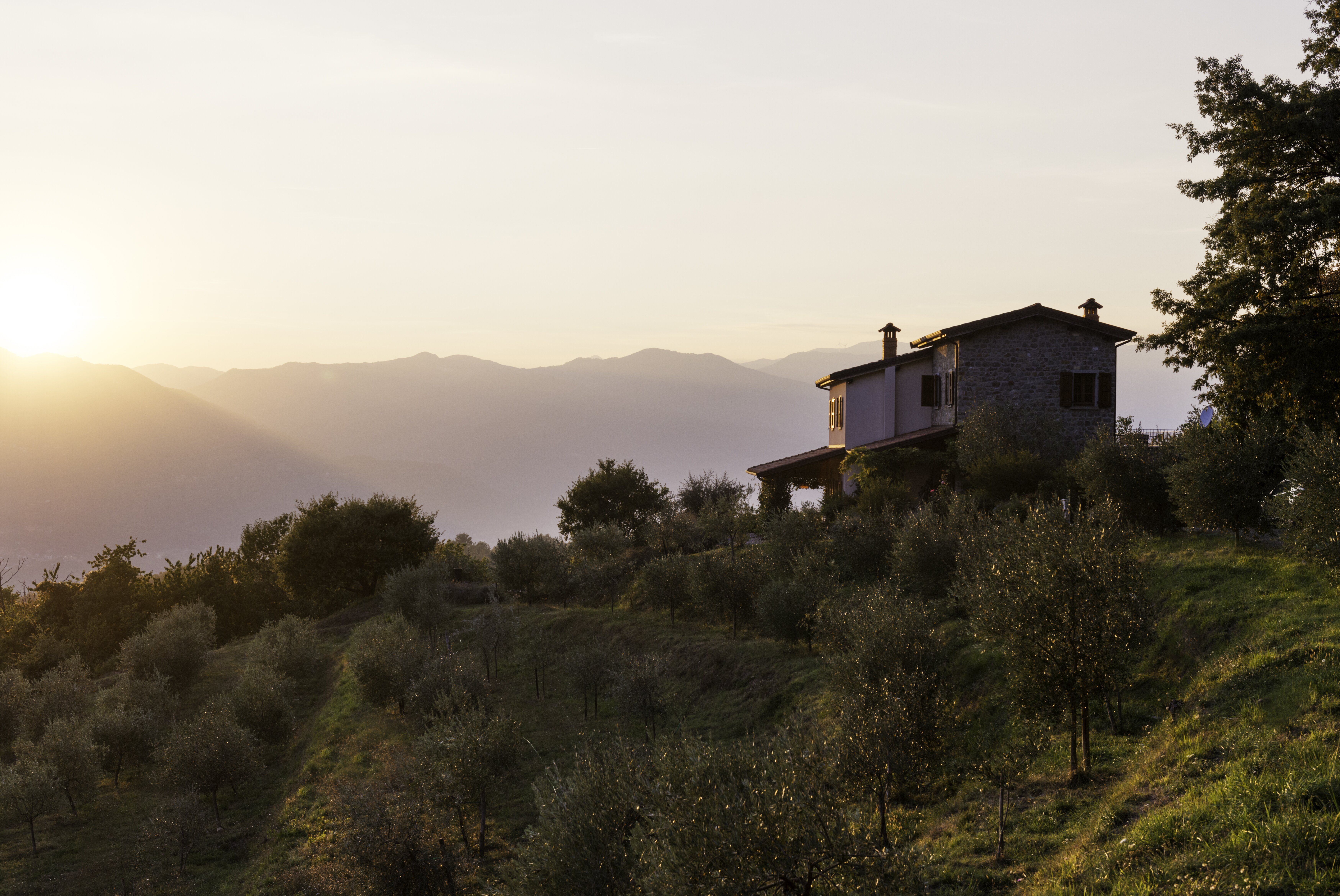 Villa dell'Aria - Image 18