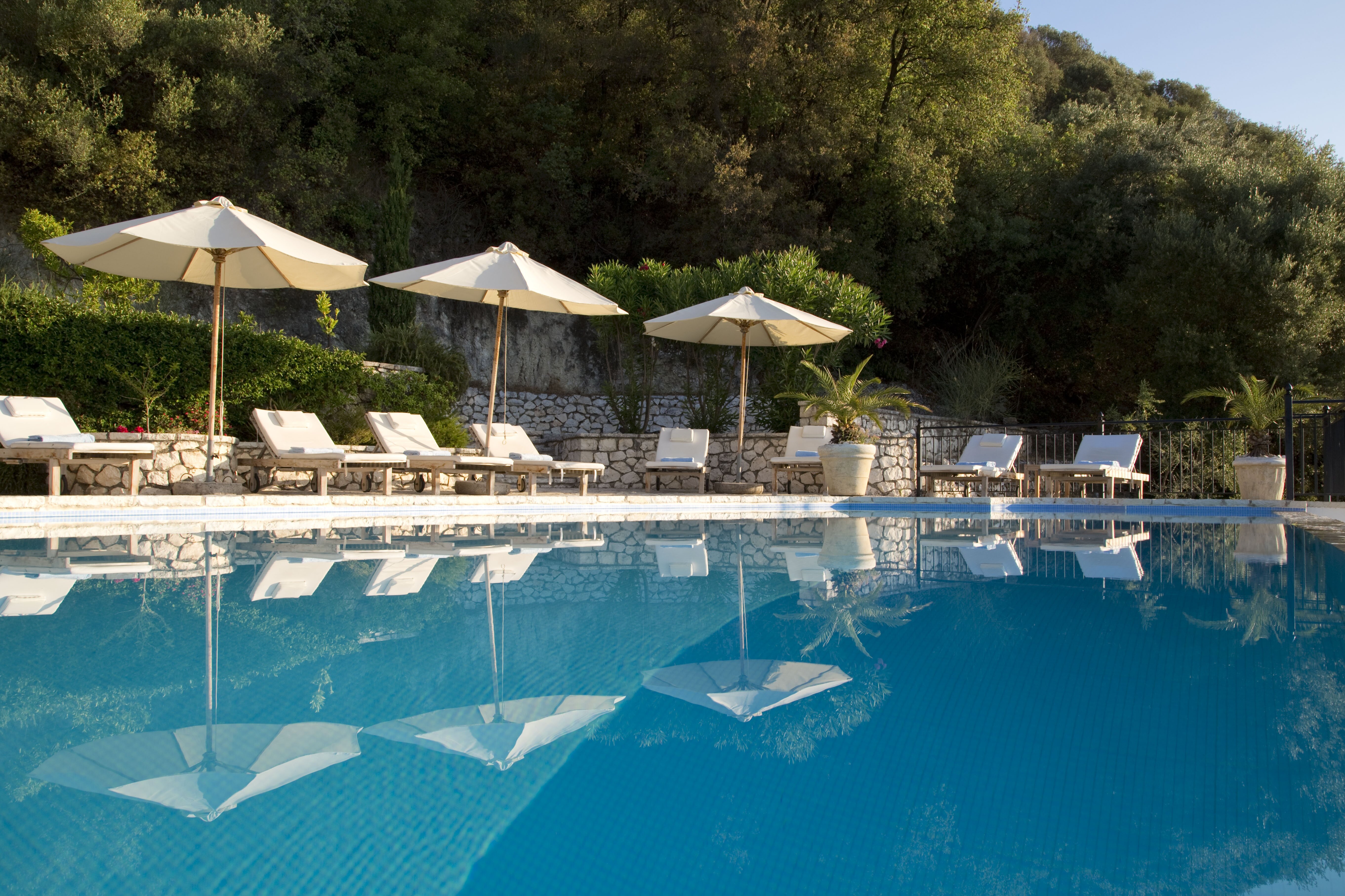 To Petrino - Image 17