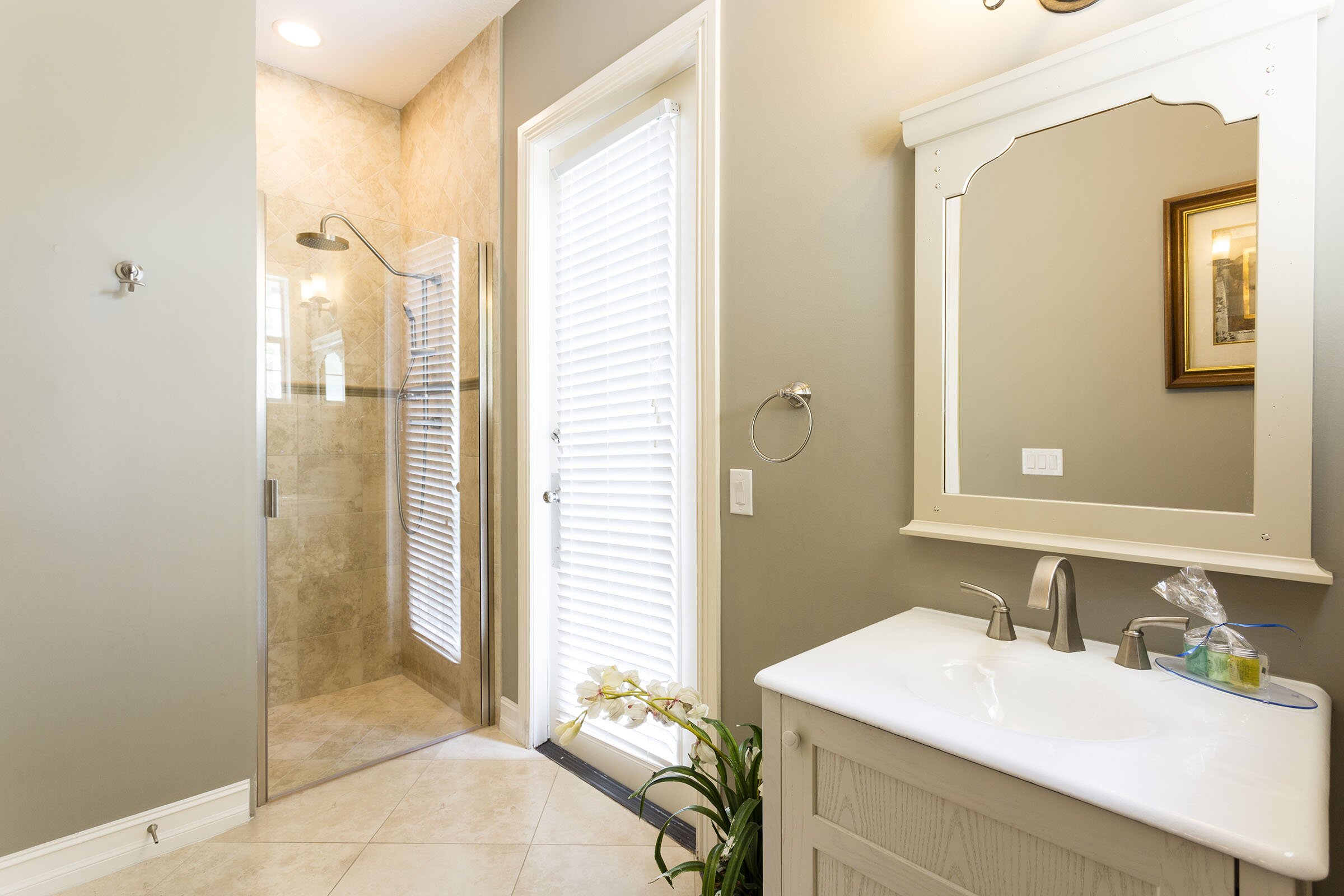 Beach Sunflower - Image 15