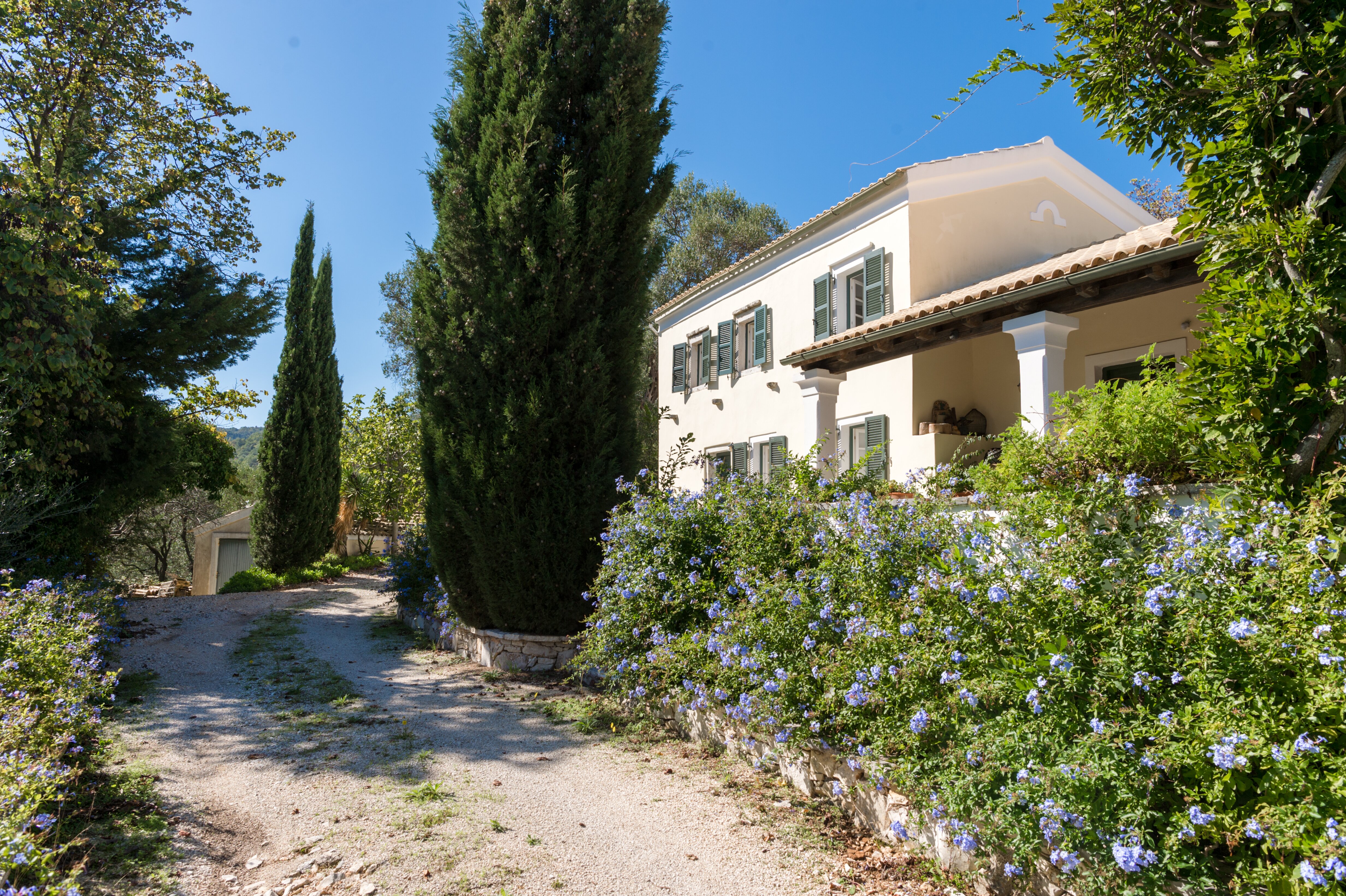 Kokkokila - Image 16