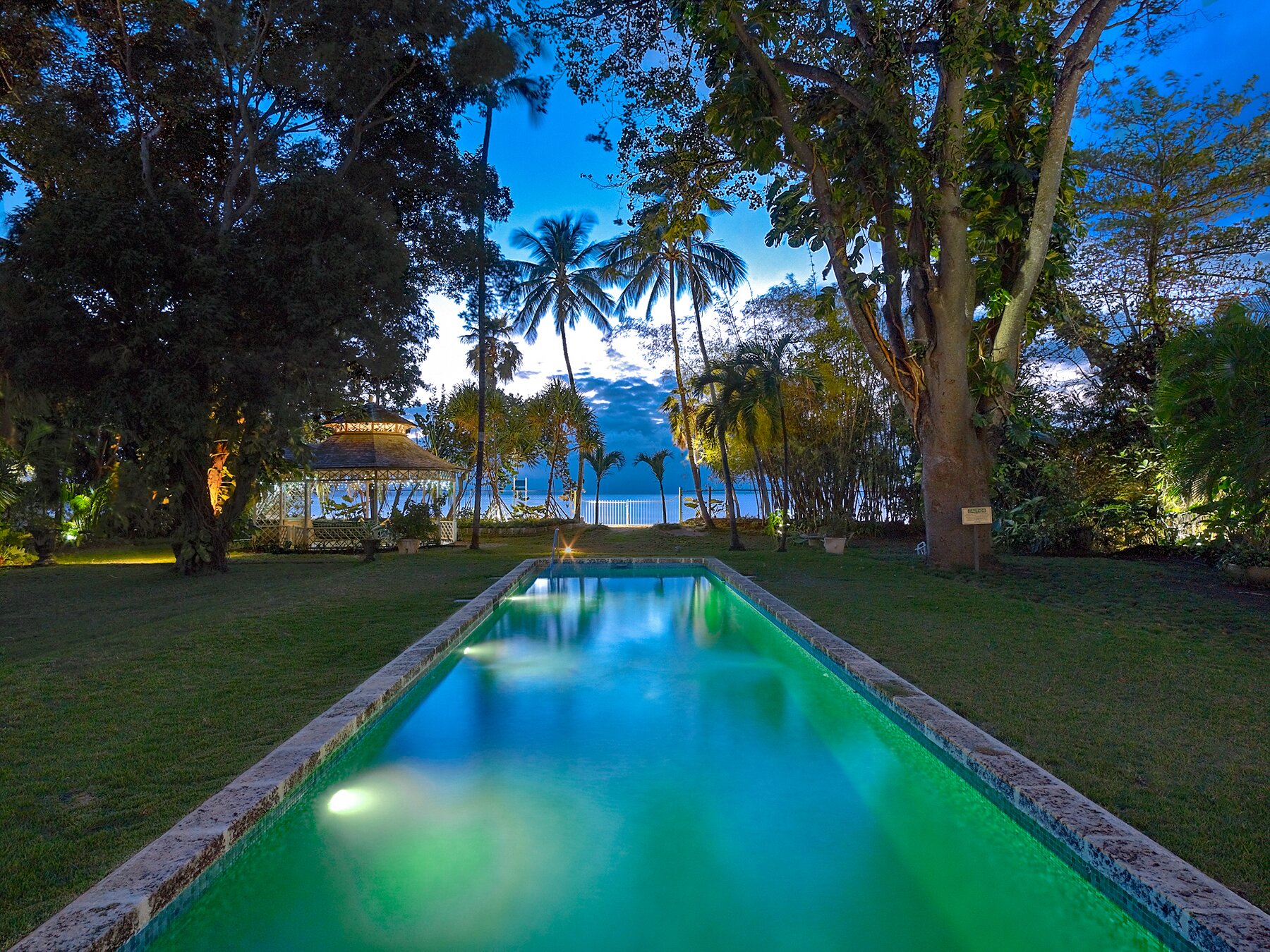 Nelson Gay - Image 17