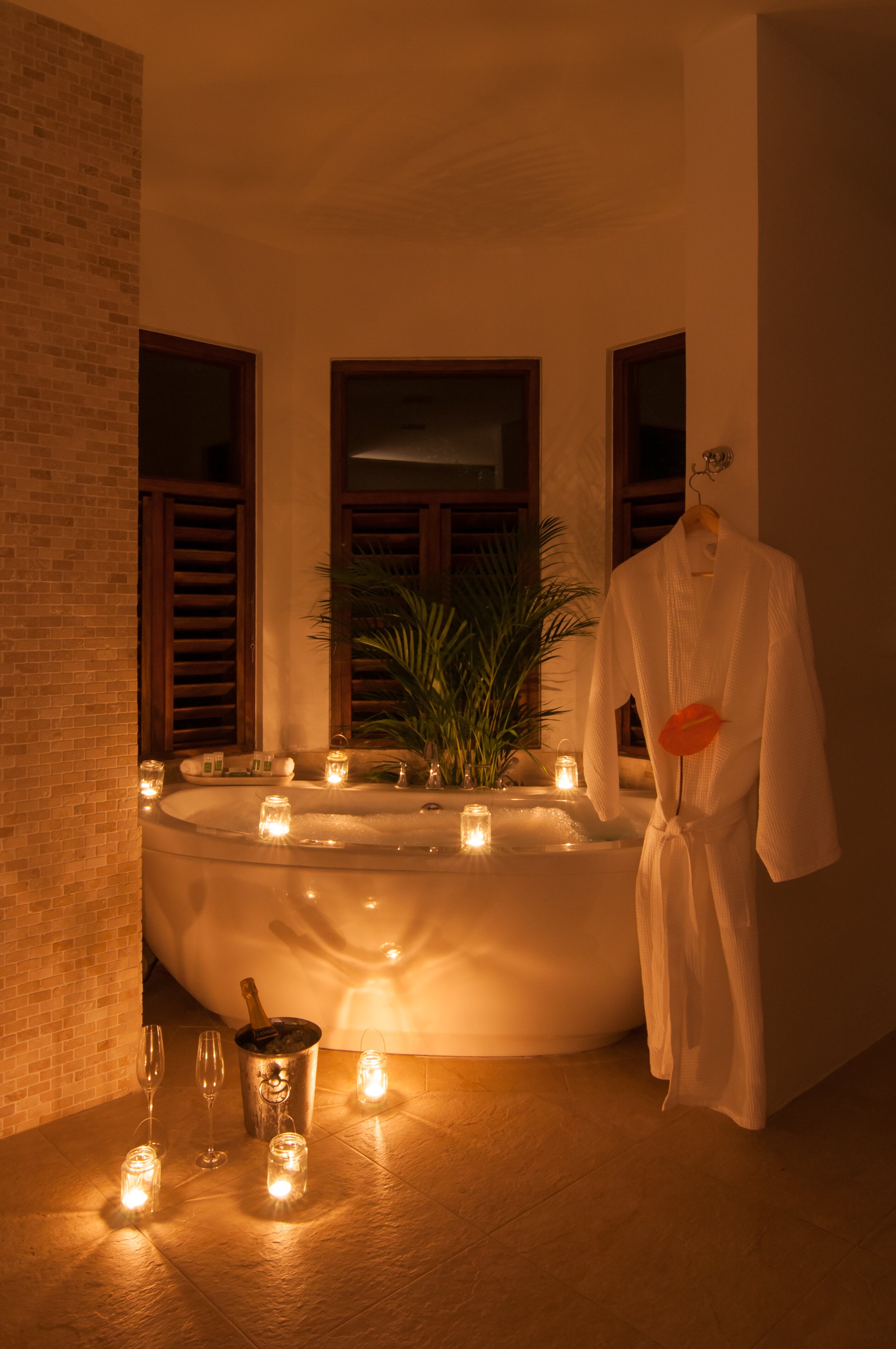 Allamanda - Image 10