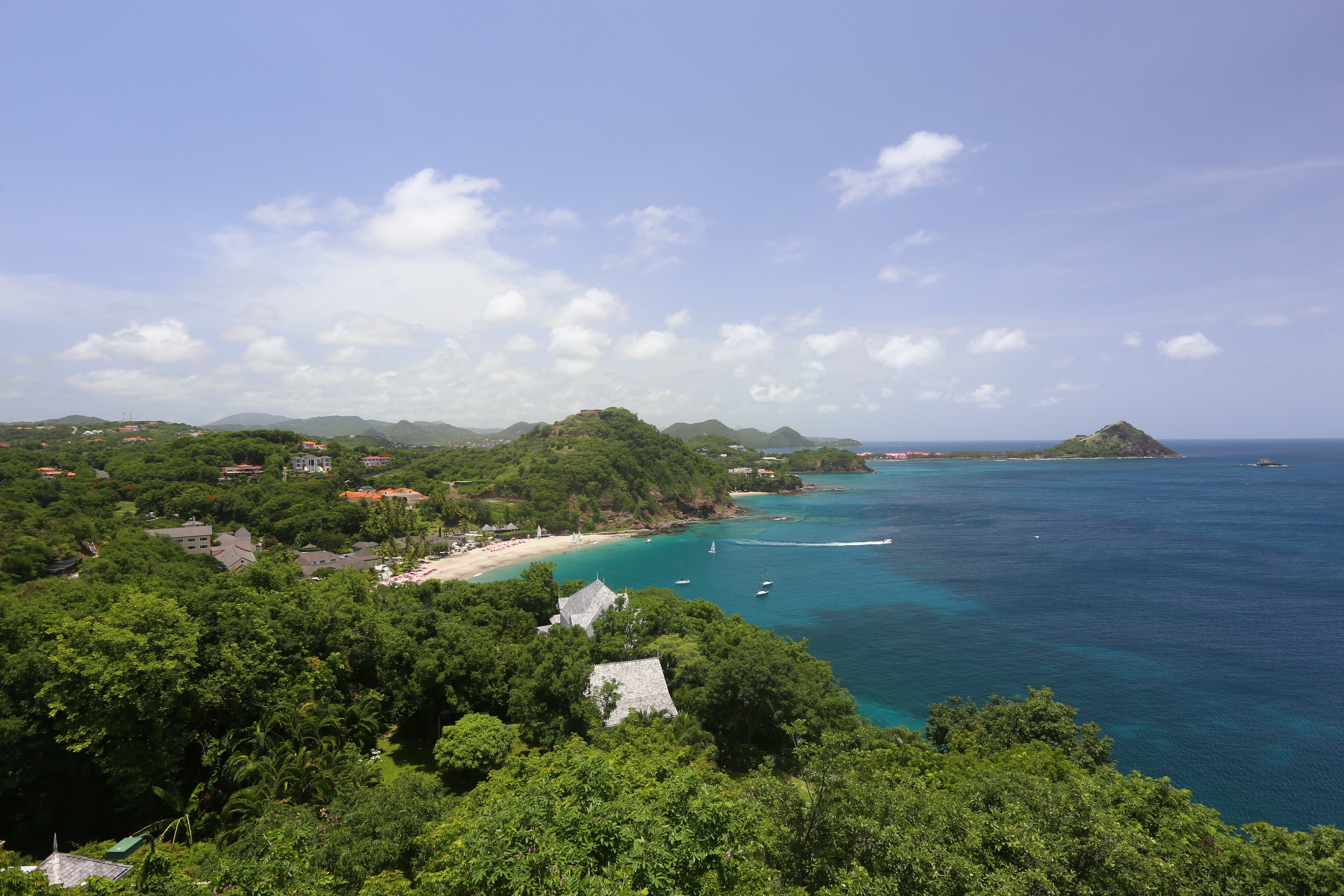 Lemon Tree - Image 15