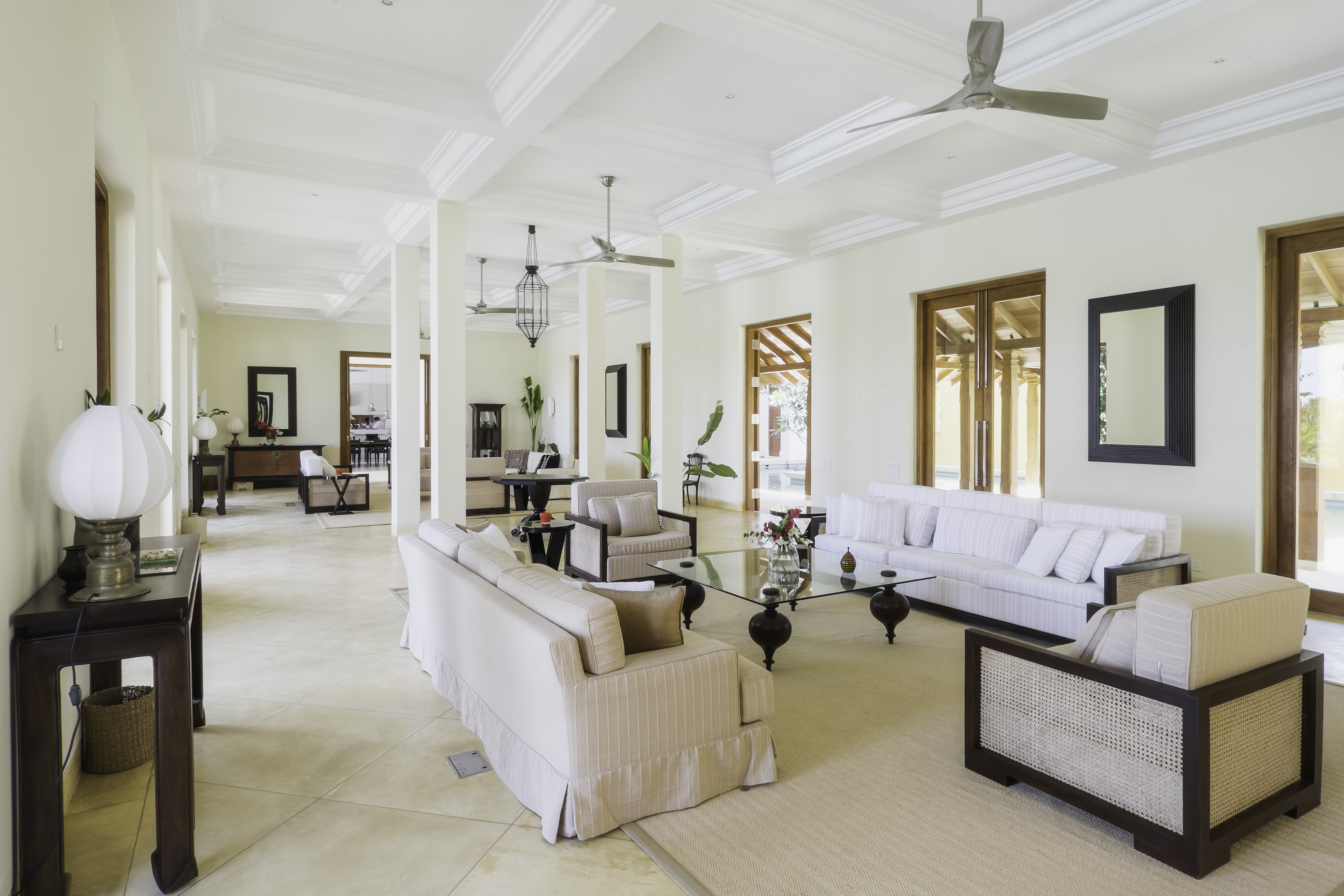 Lemongrass - Image 4