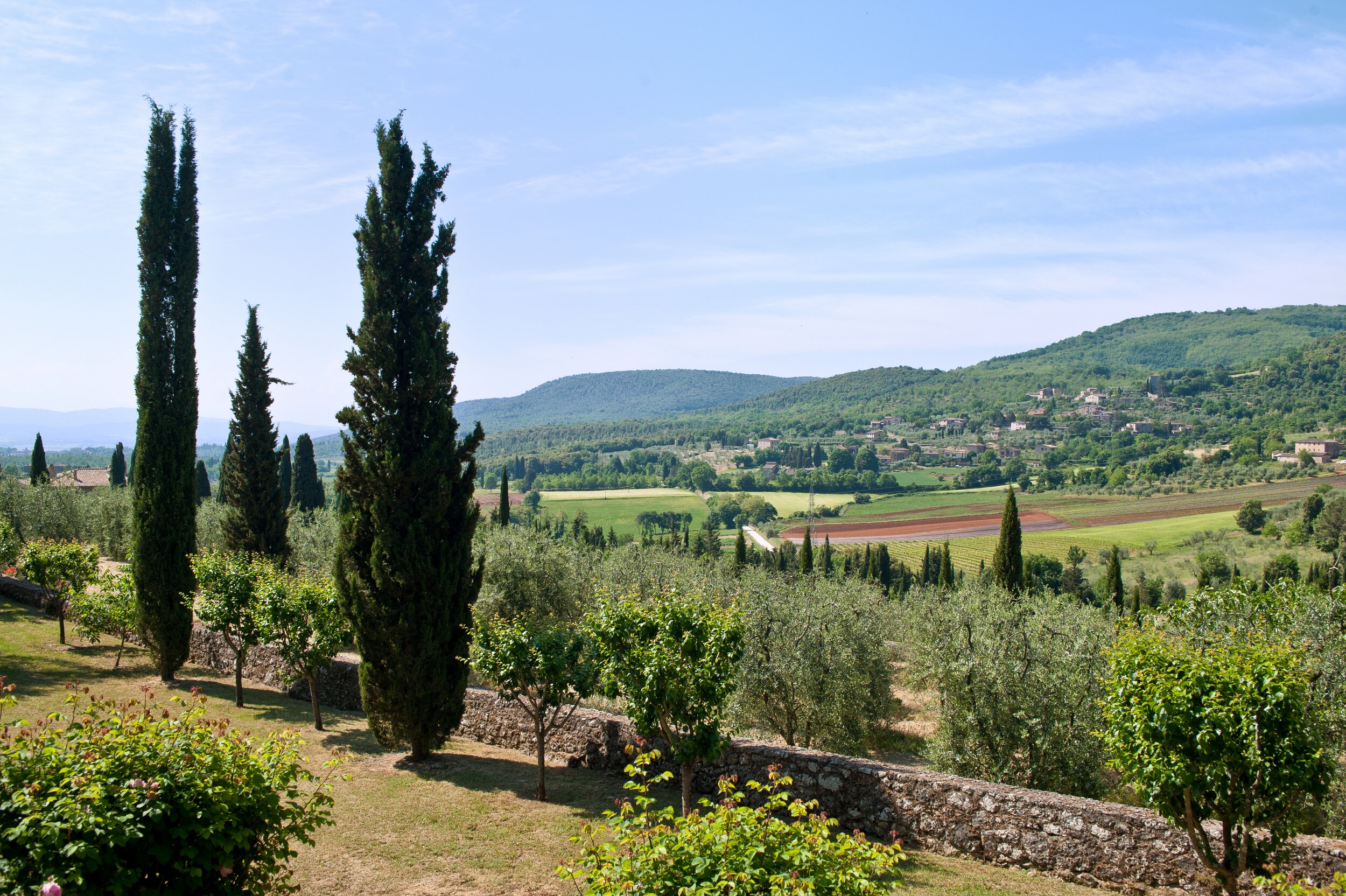 La Cerbaia - Image 19