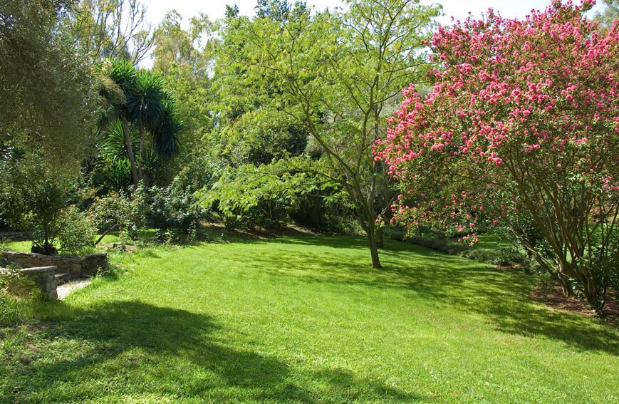 Cortijo de la Virgen - Image 17