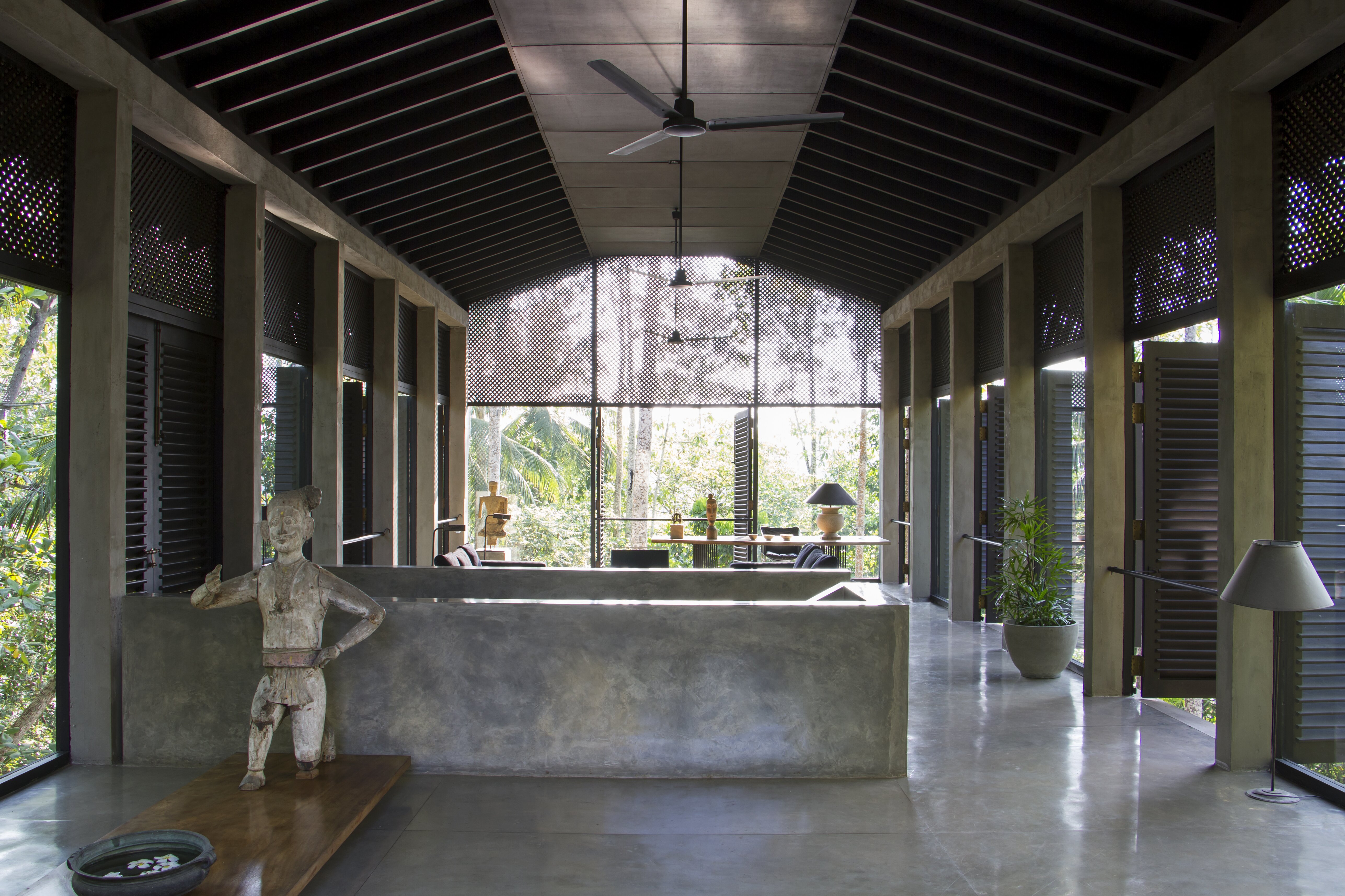 Allamanda - Image 20