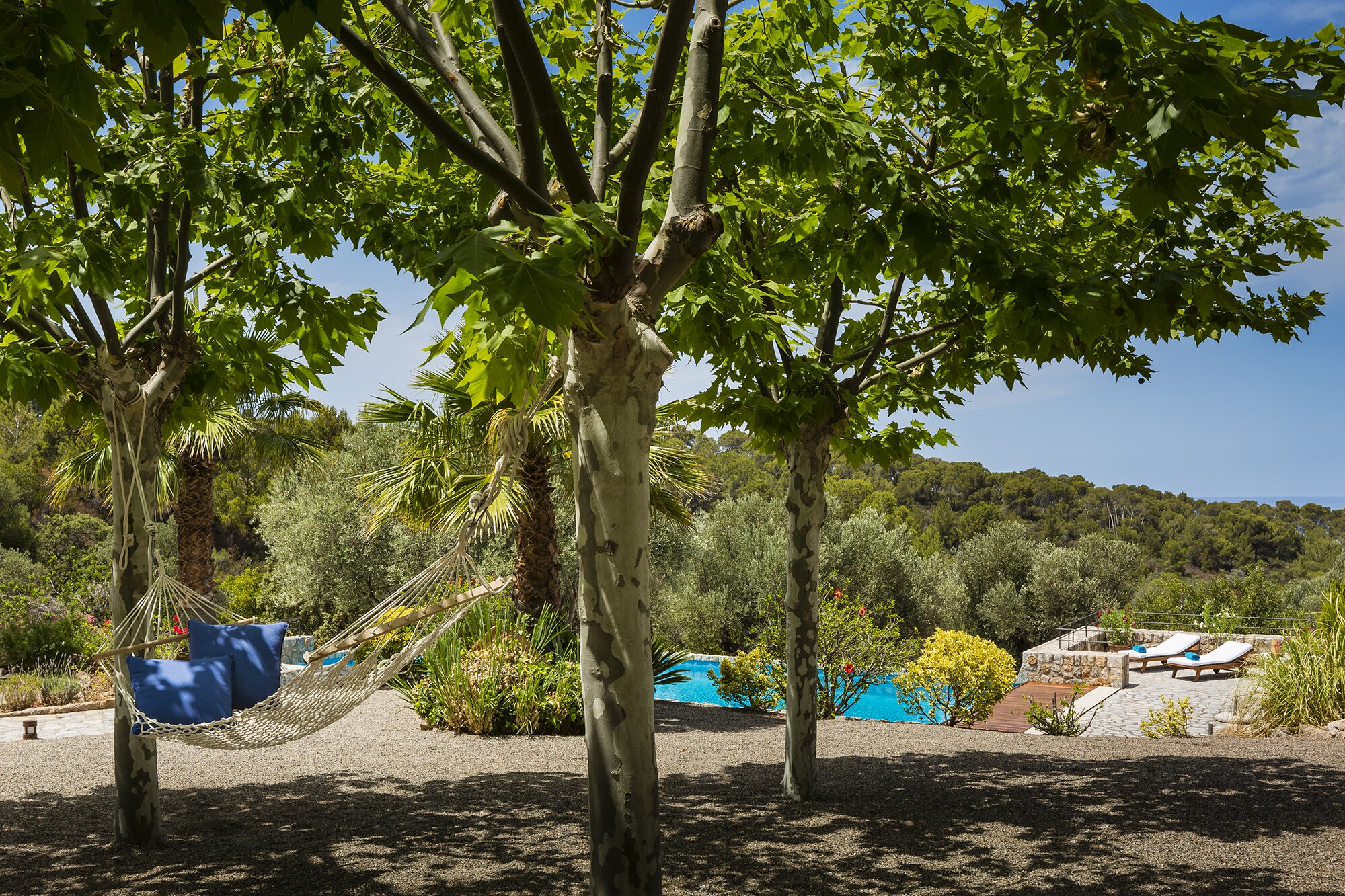 Sa Terra Rotja - Image 14