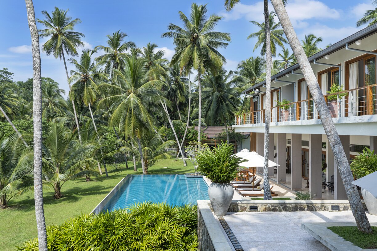Frangipani - Image 18