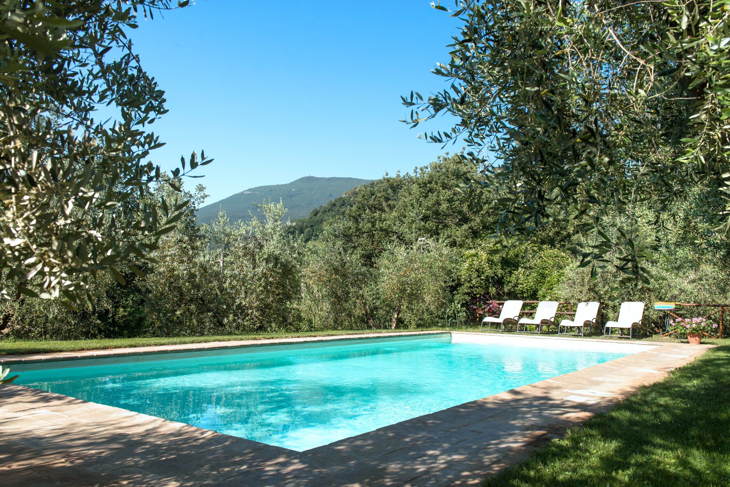 Casa dei Vini - Image 16