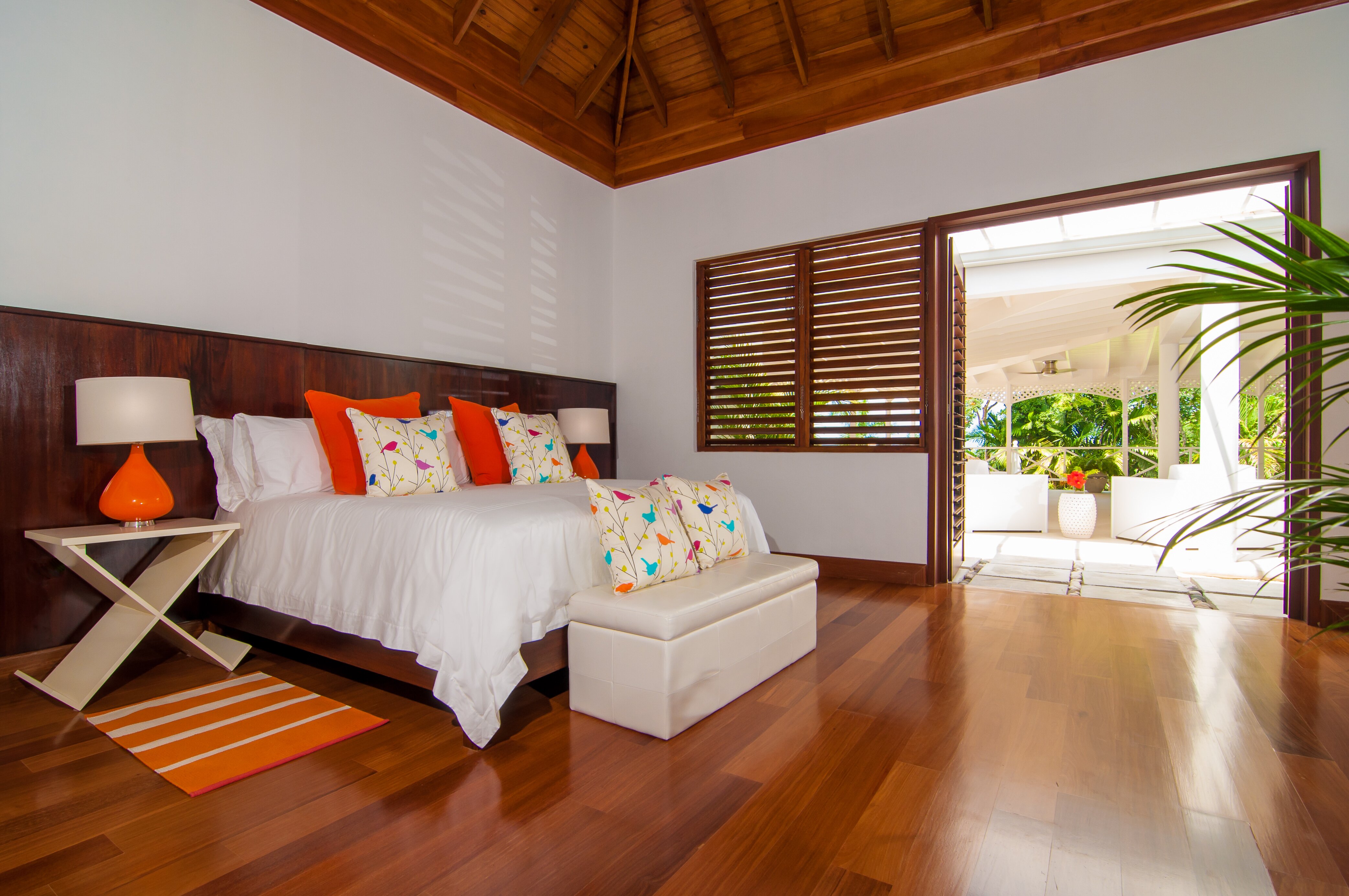 Allamanda - Image 13