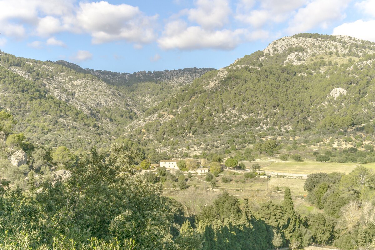 Ca'n Azucena - Image 19