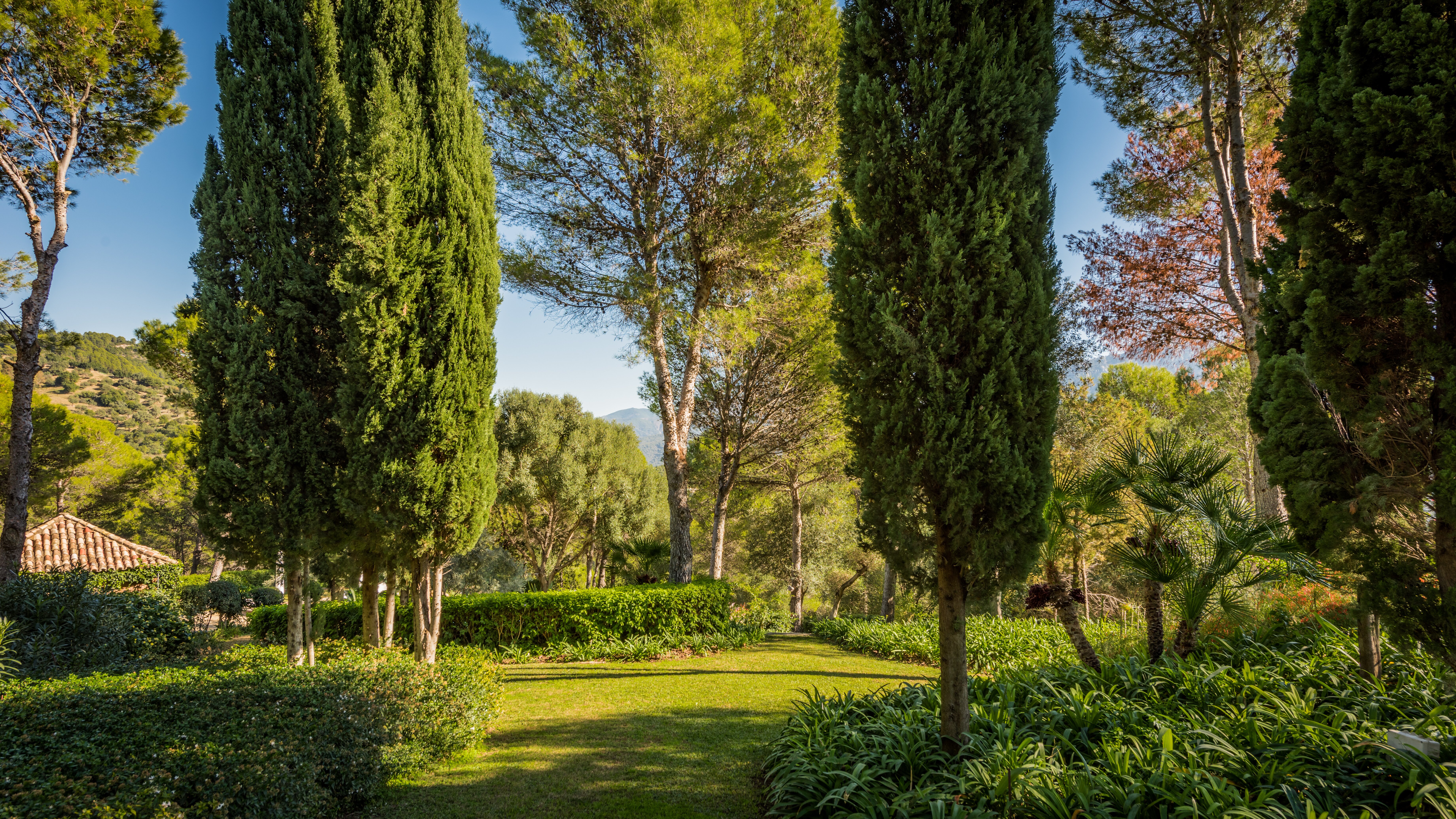 La Casa Roja - Image 18