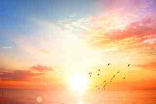 Loading photo