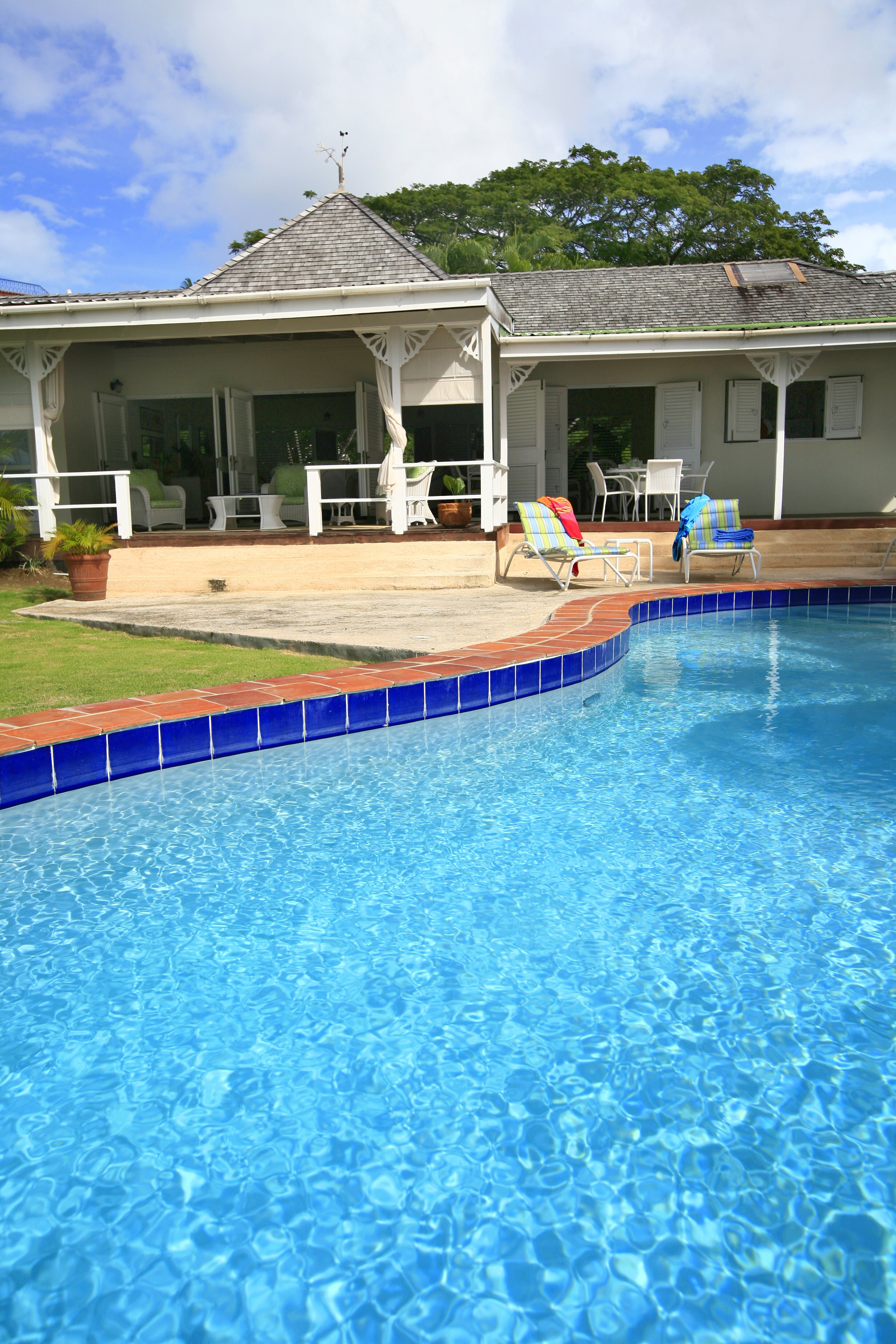 Sea Pearl - Image 16