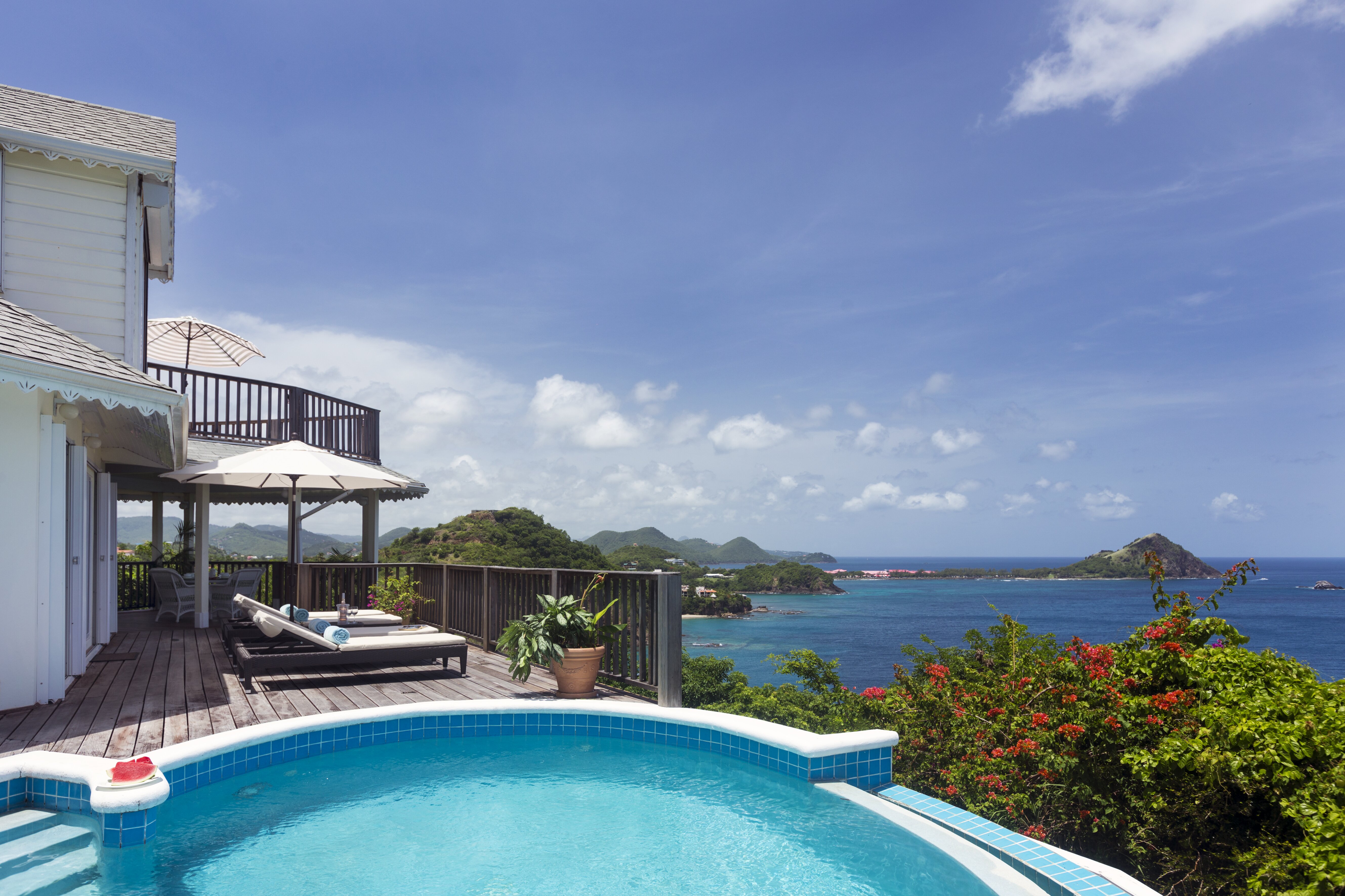 Lemon Tree - Image 6