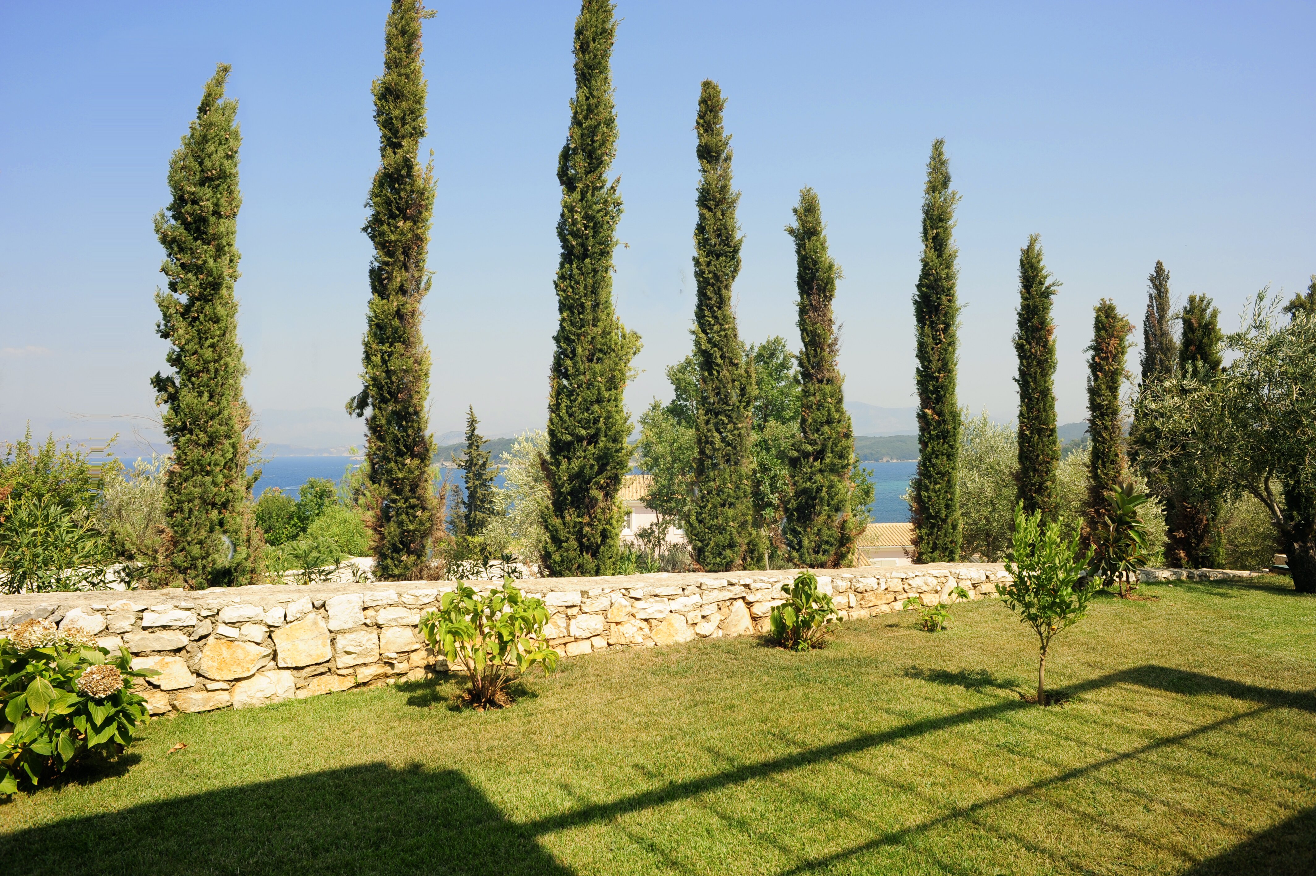 Argiro - Image 17