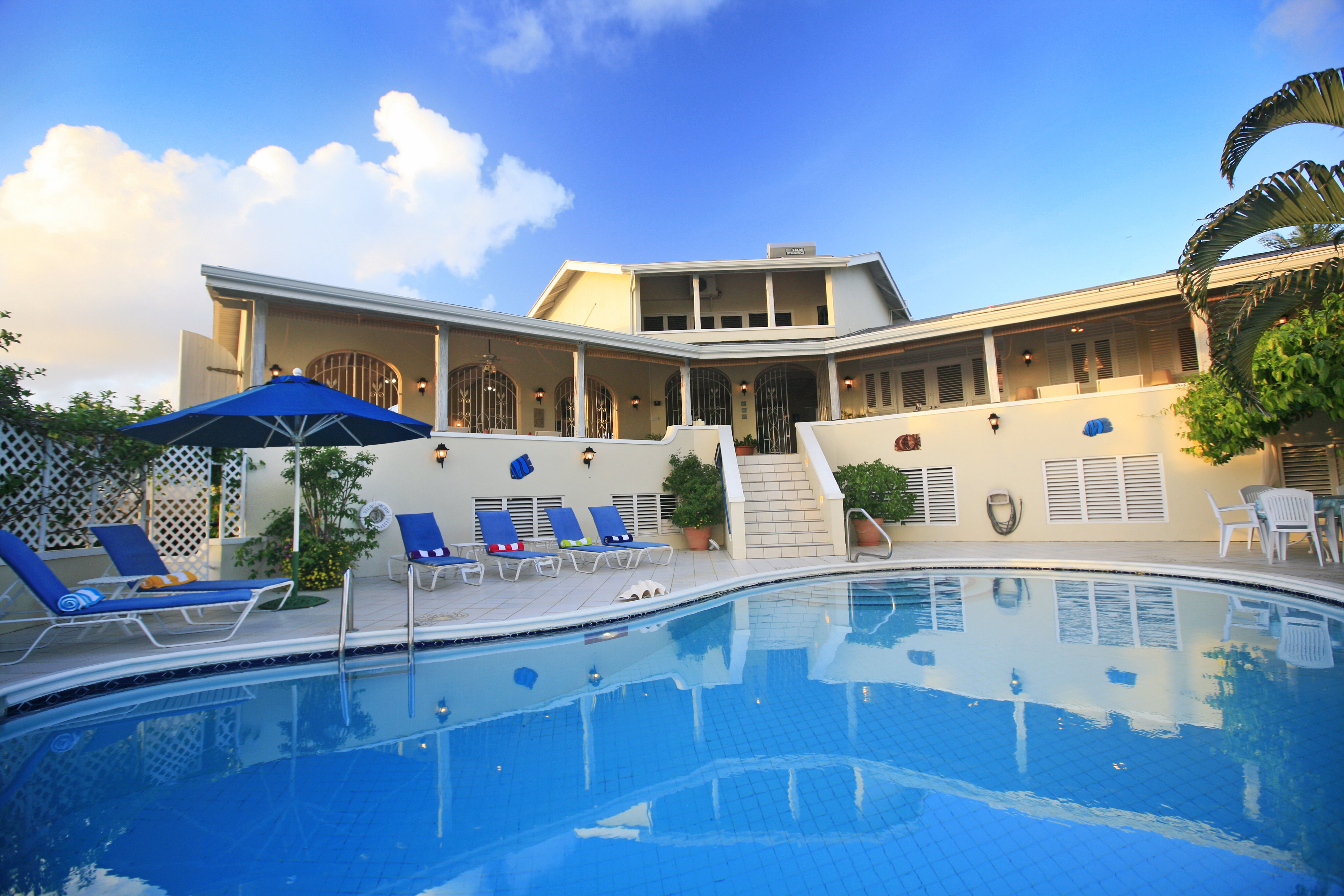 Wild Orchid - Image 4