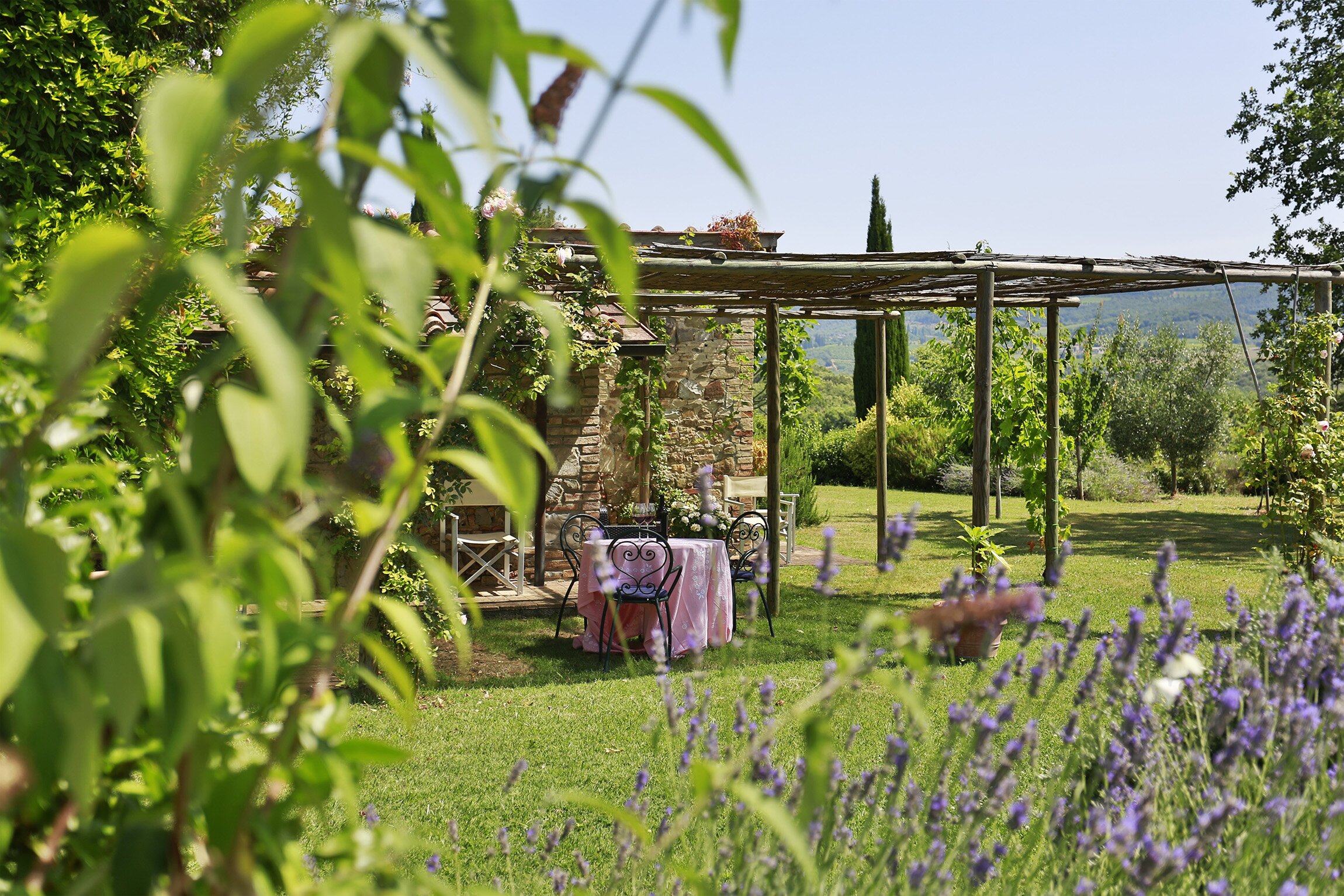 Tenuta Montalcino - Image 6