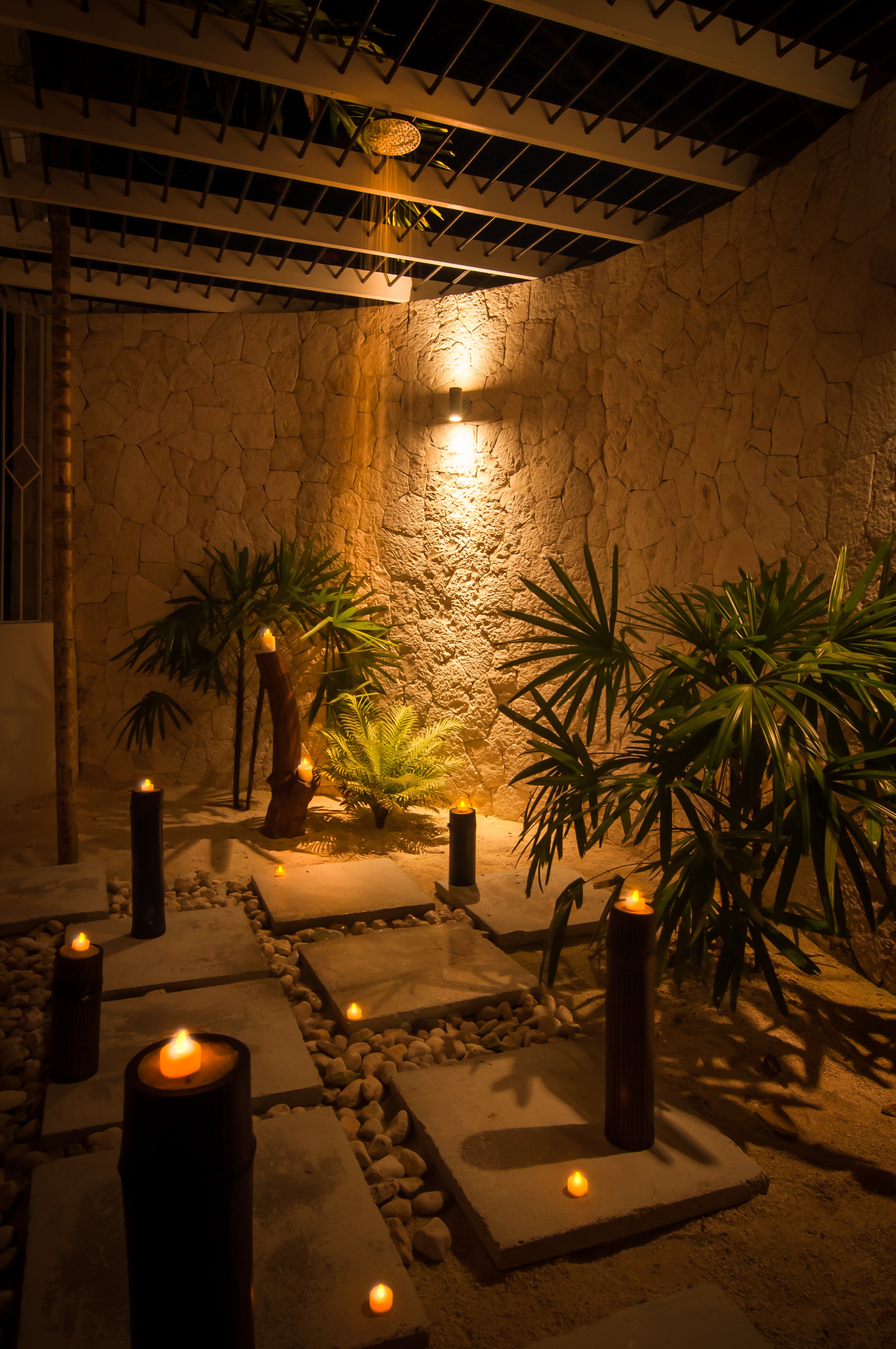 Allamanda - Image 11