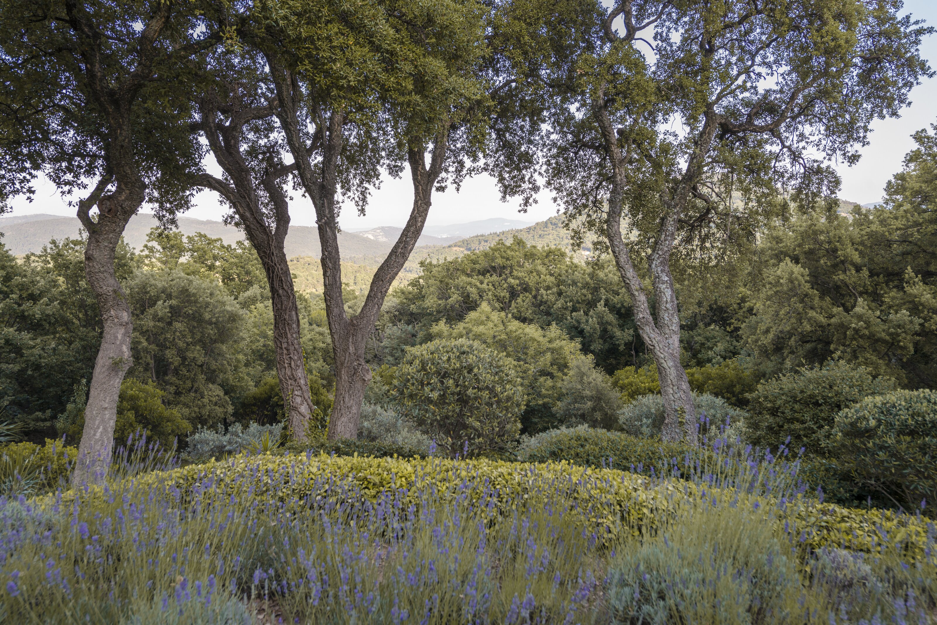 La Souste - Image 11