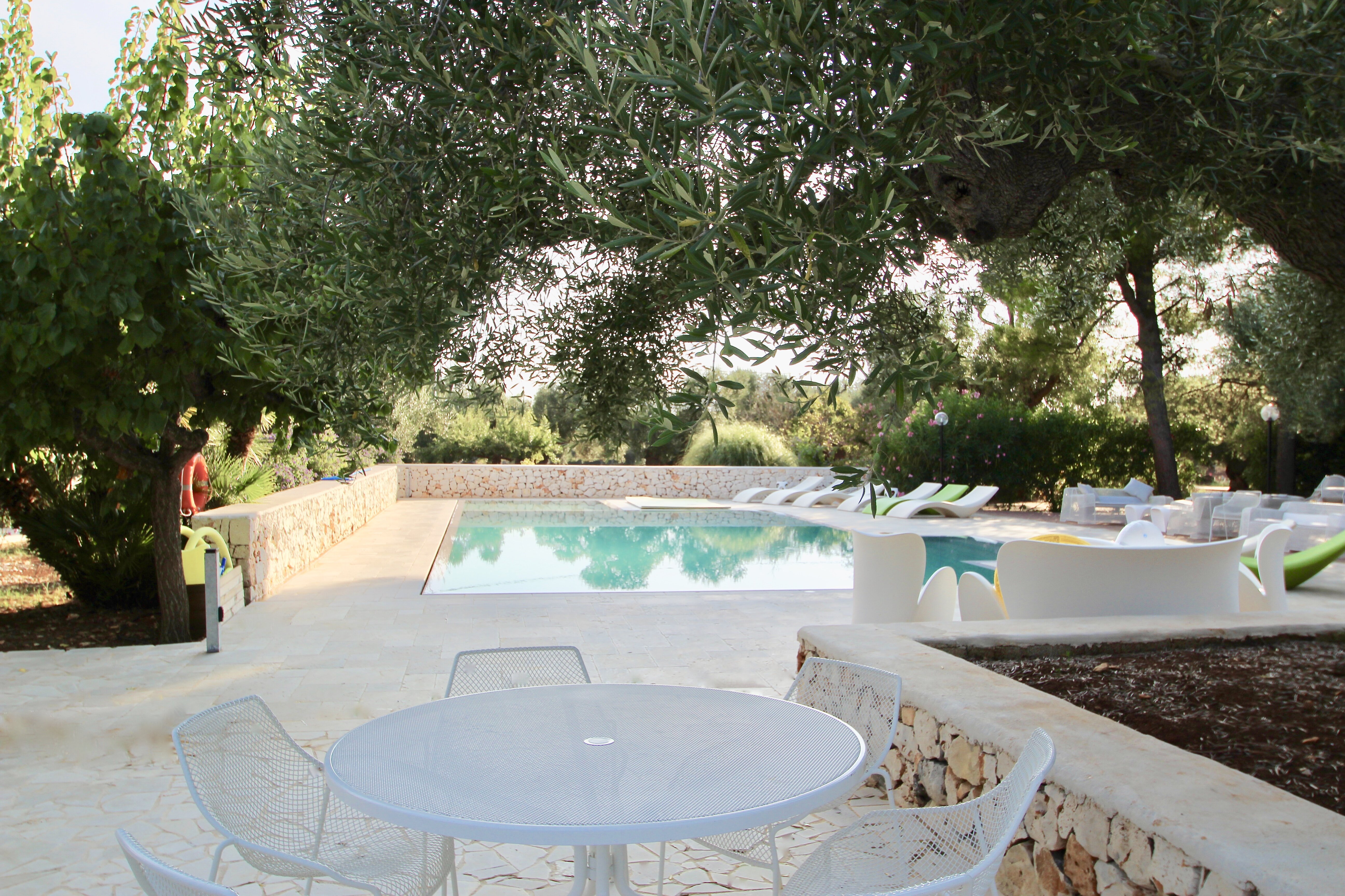 The Olive Grove - Image 6