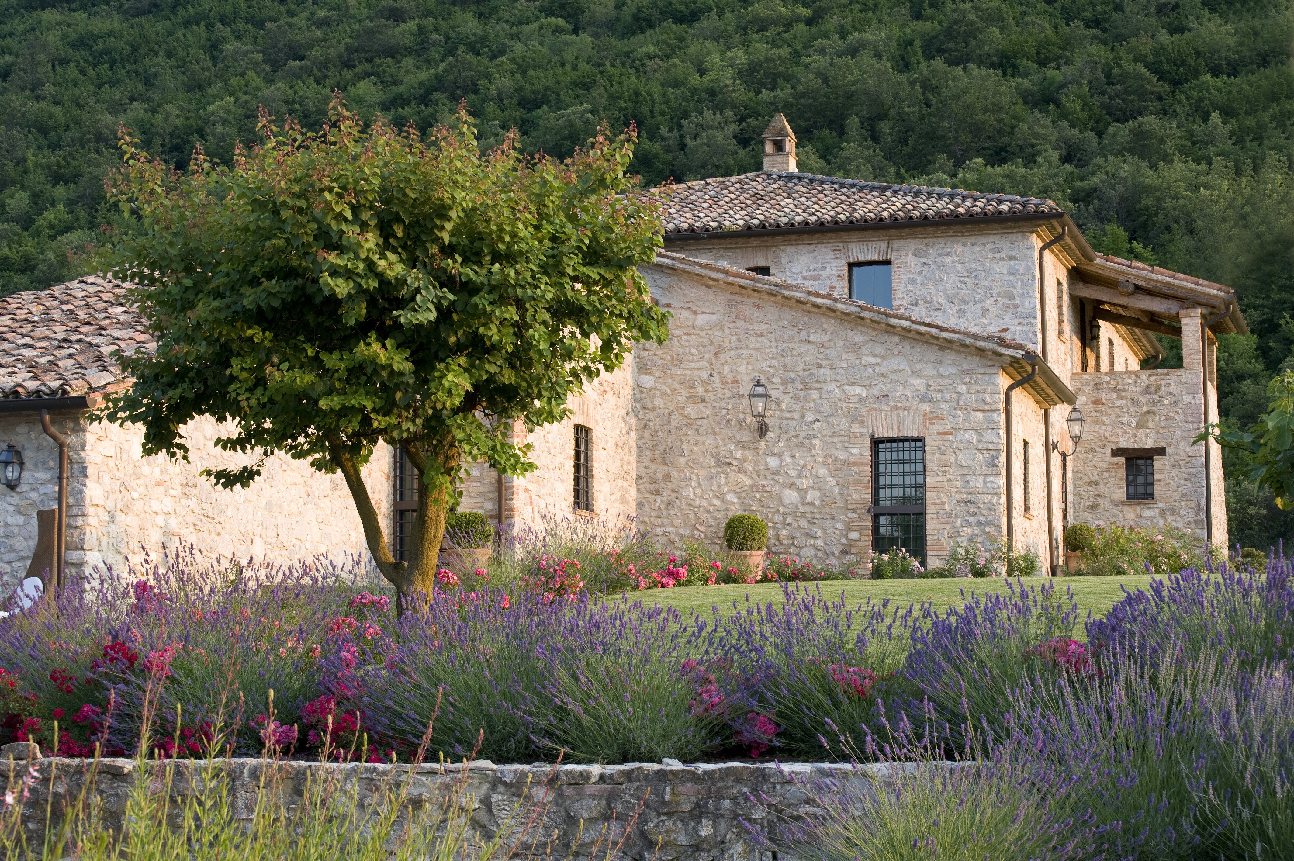 Villa Belvedere - Image 4