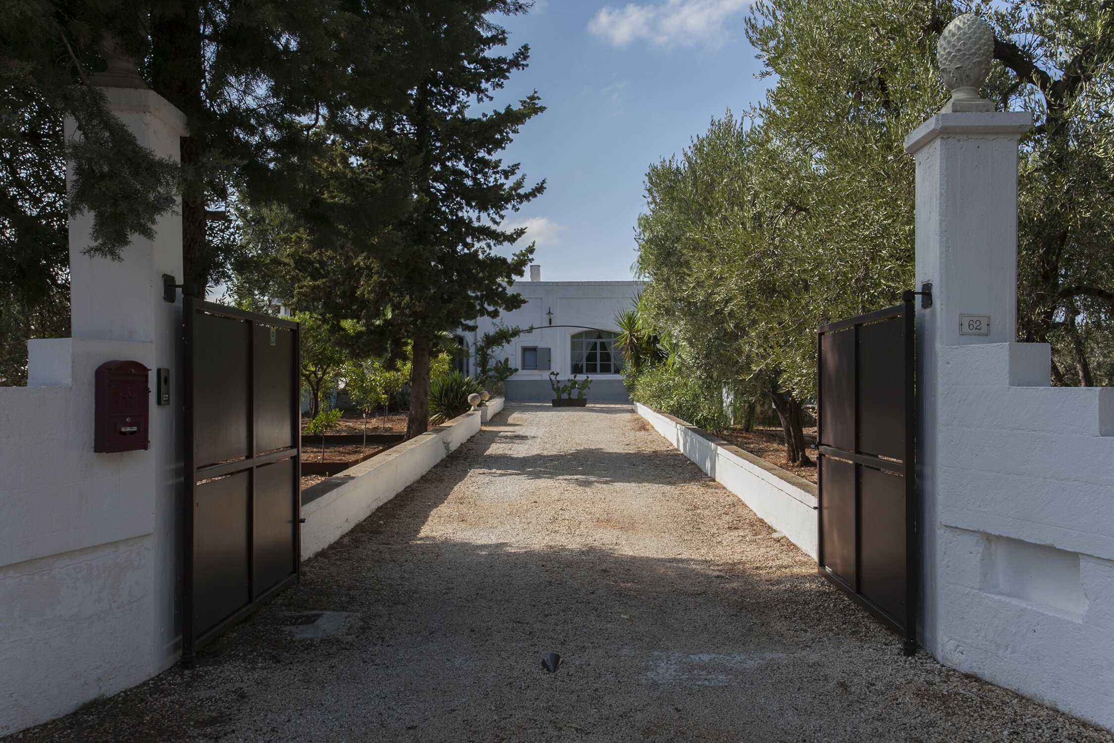 Fico d'India - Image 3