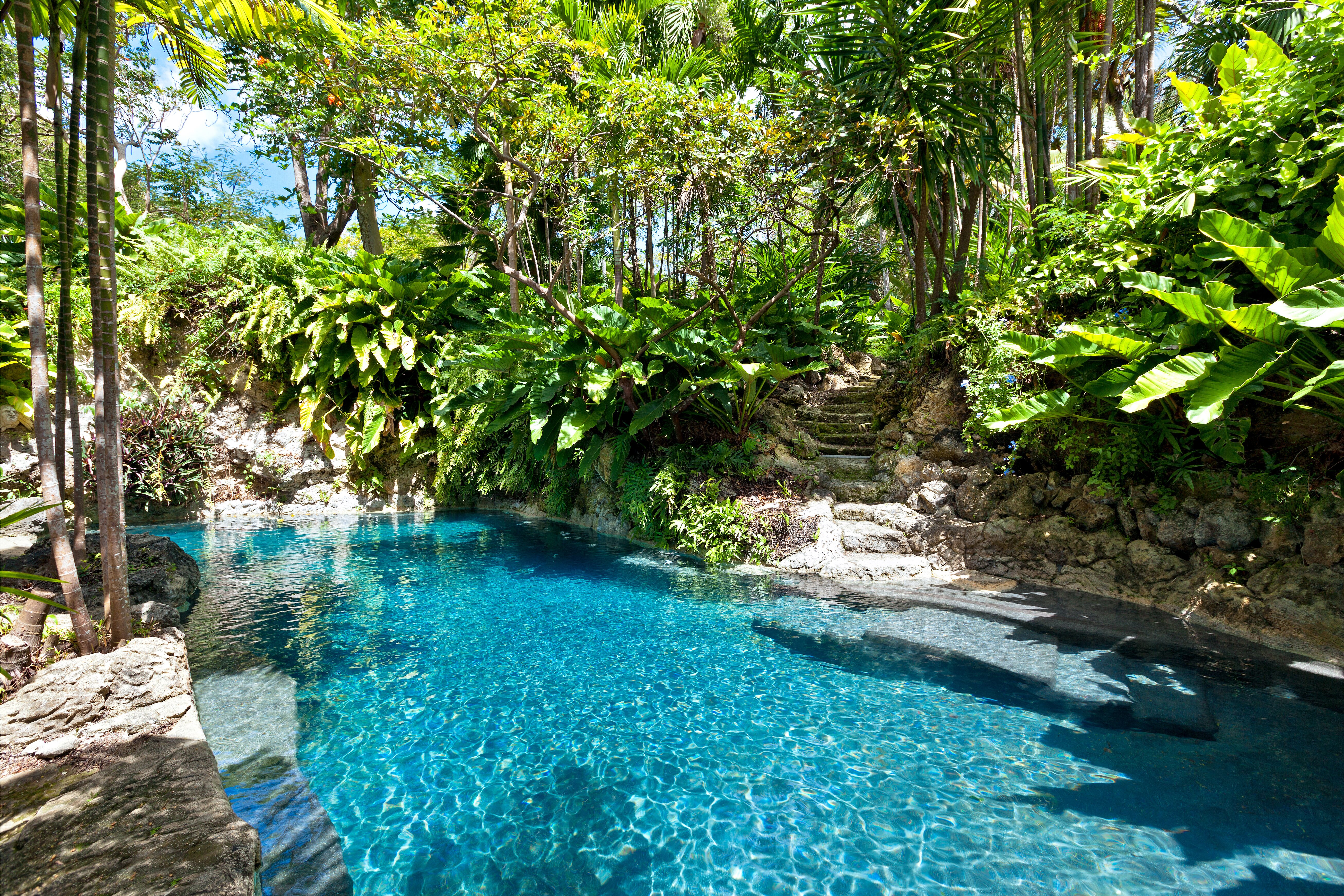 Lagoon style pool