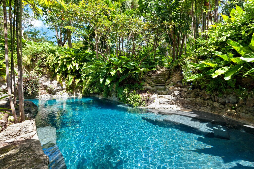 Lagoon style pool