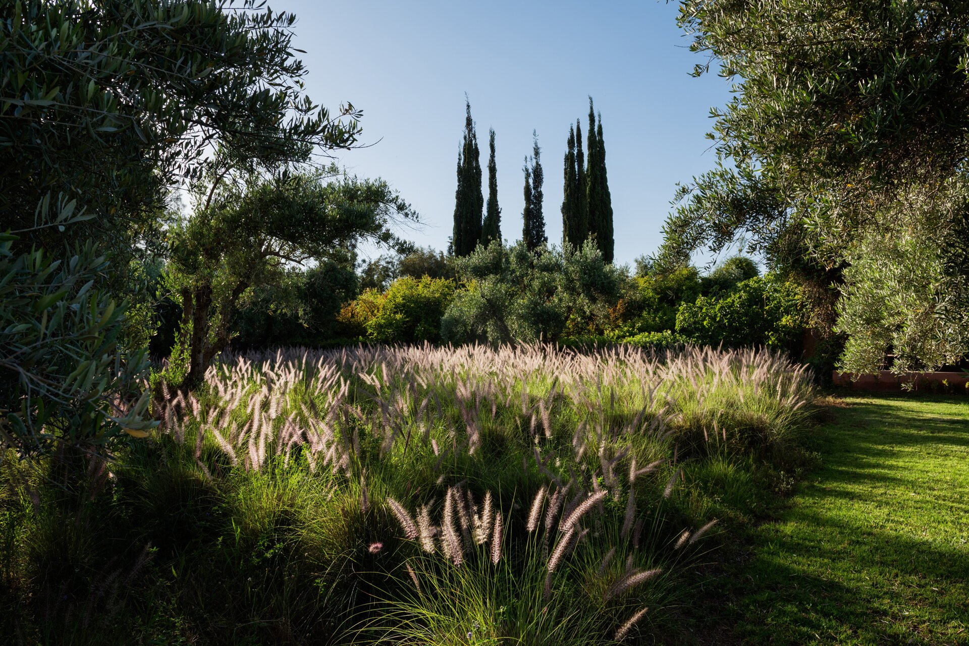 Dar des Roses Blanches, near Marrakech - Image 19
