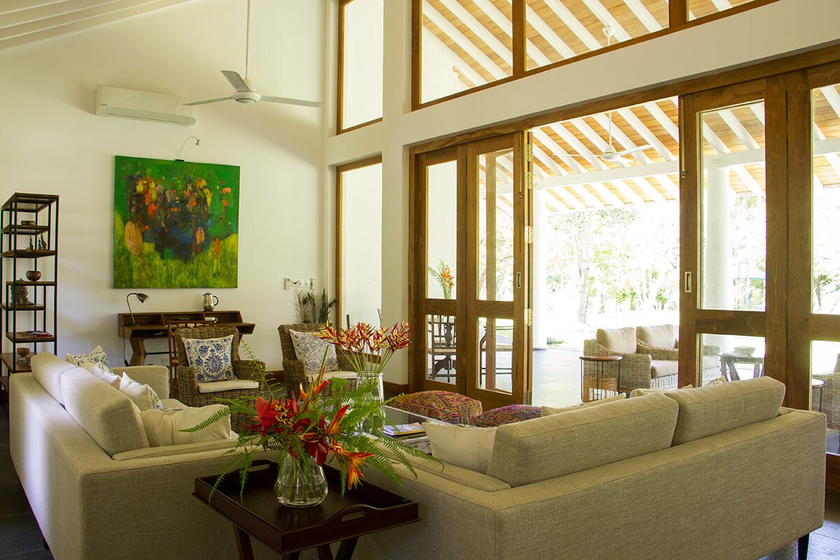 Water Lily - Image 4