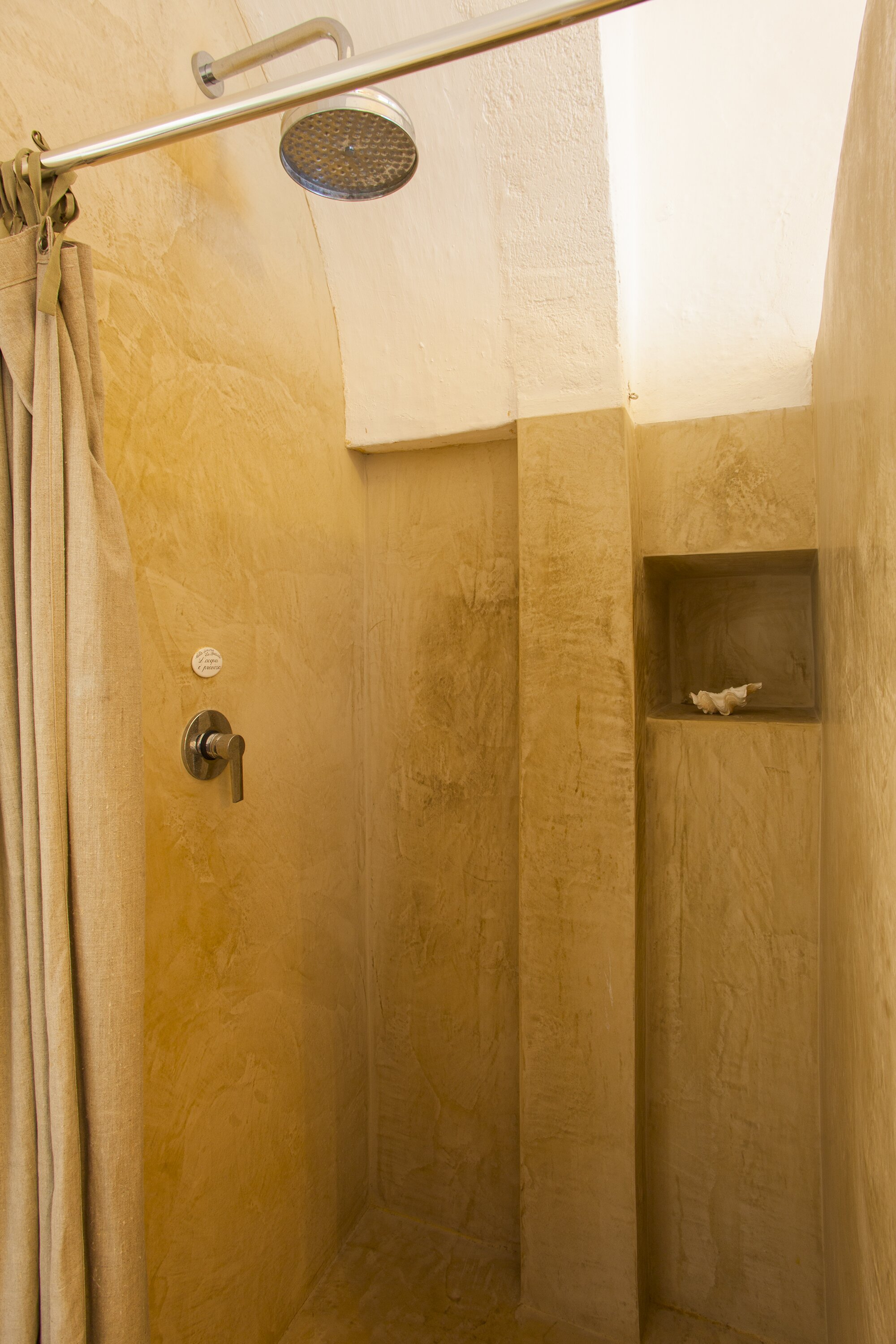 Fico d'India - Image 13