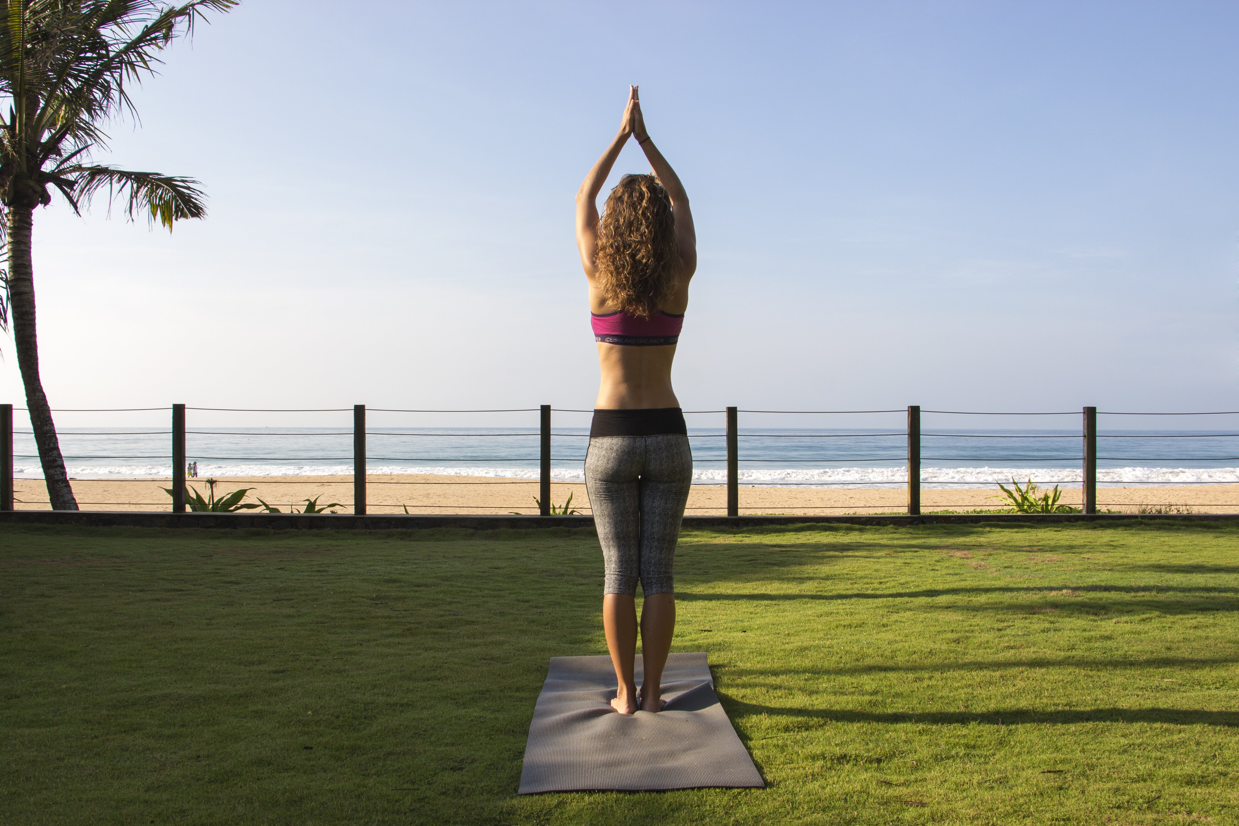 Heliconia - Image 11