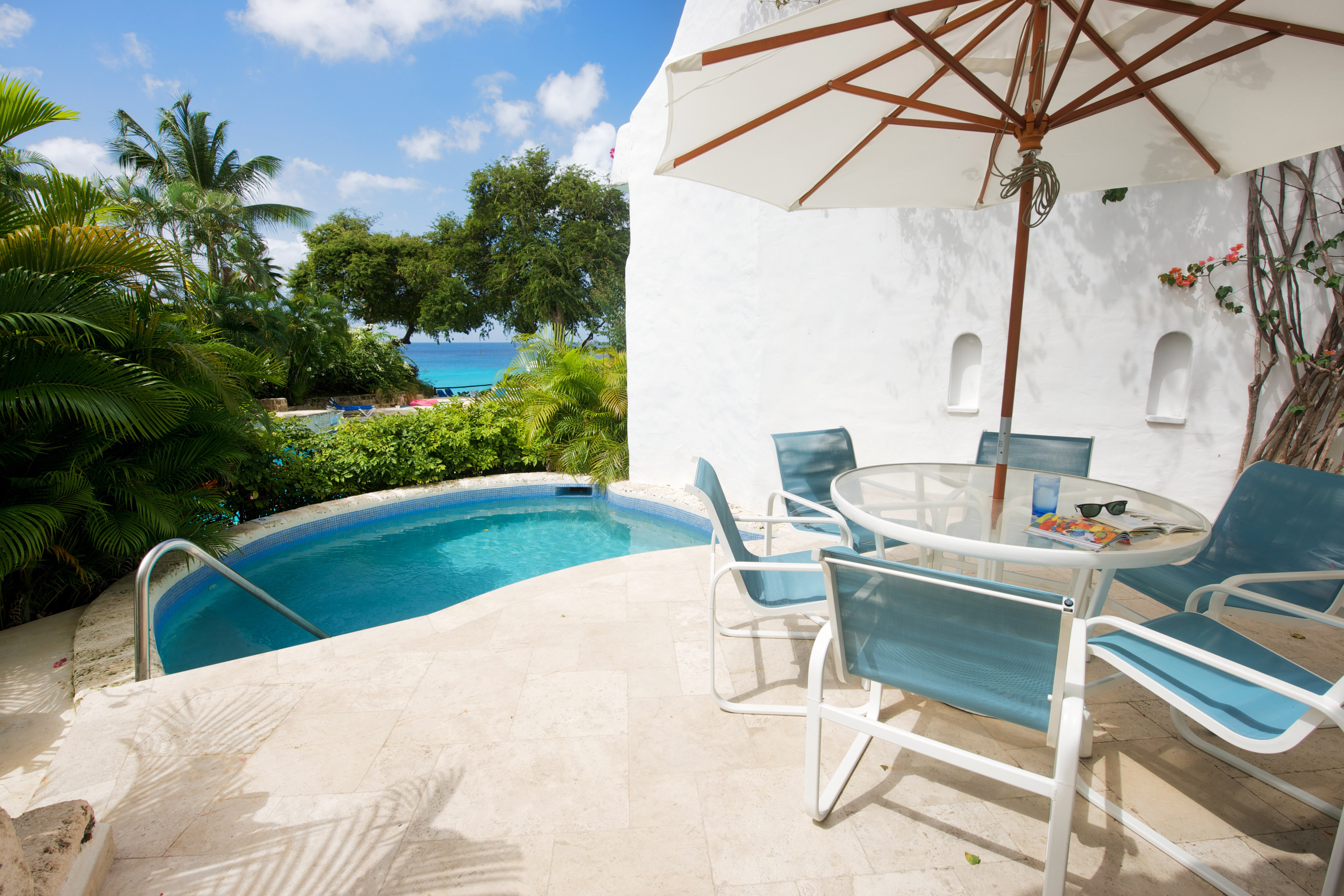 Hibiscus - Image 10