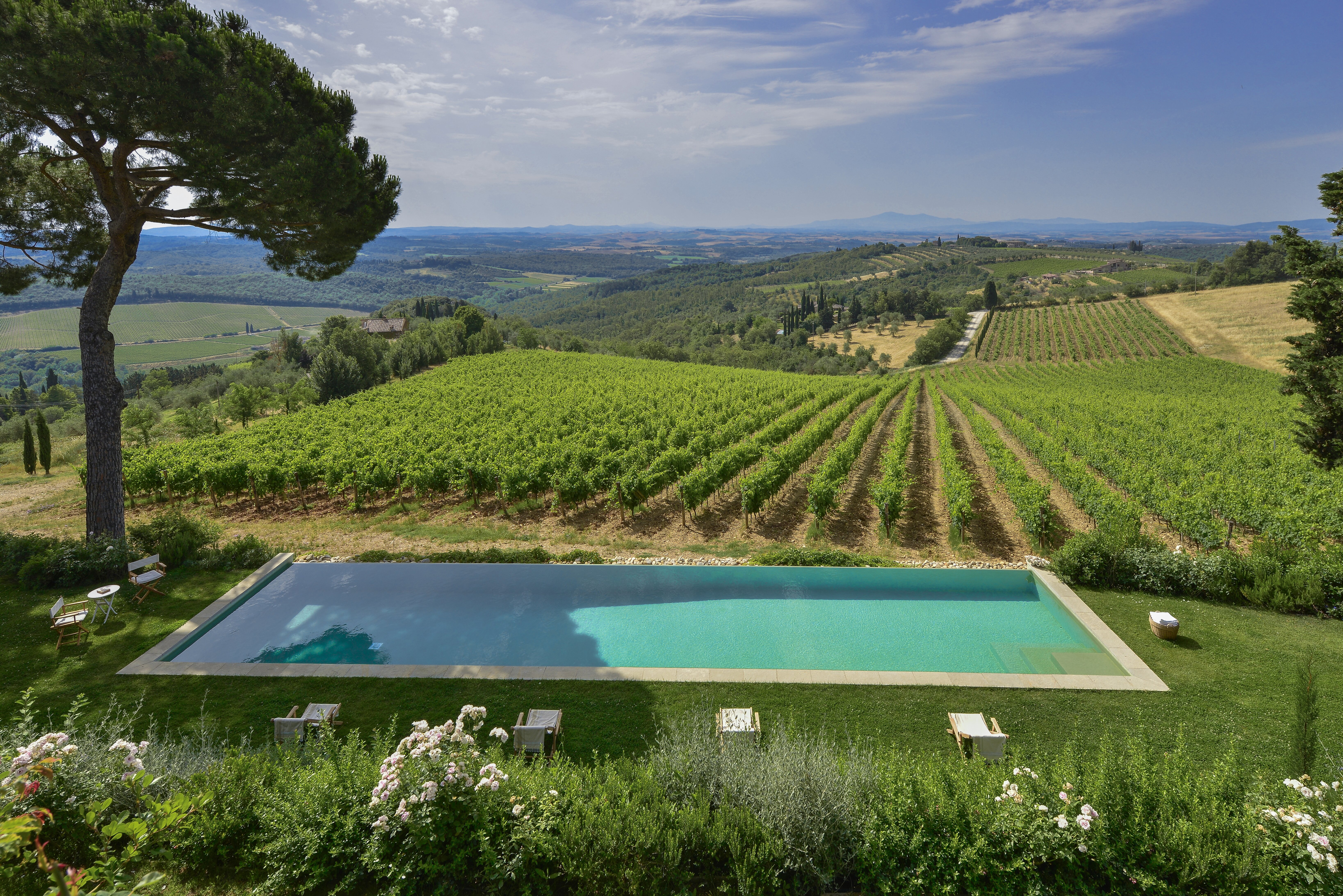 Tenuta del Chianti Classico - Image 3